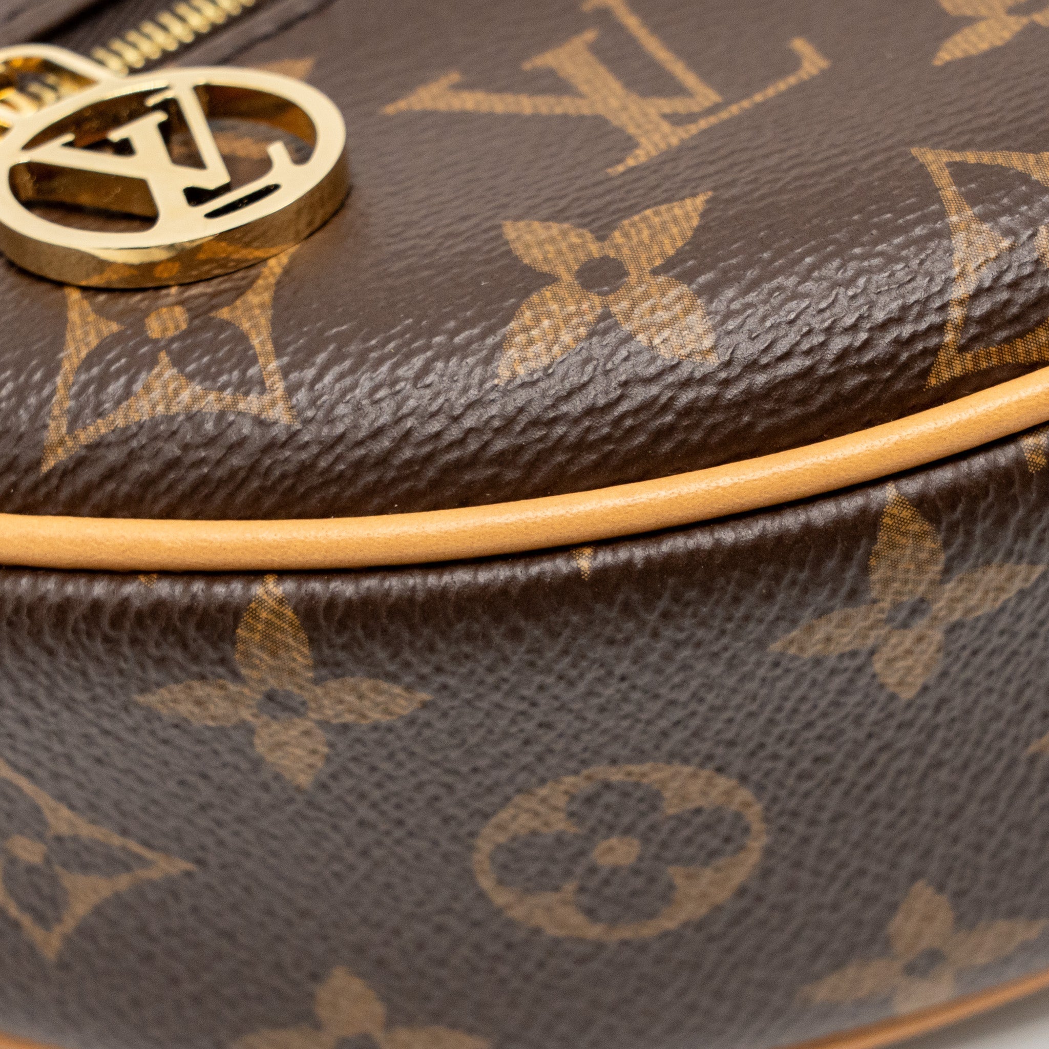 louis-vuitton-loop-bag-monogram-canvas-ghw-2