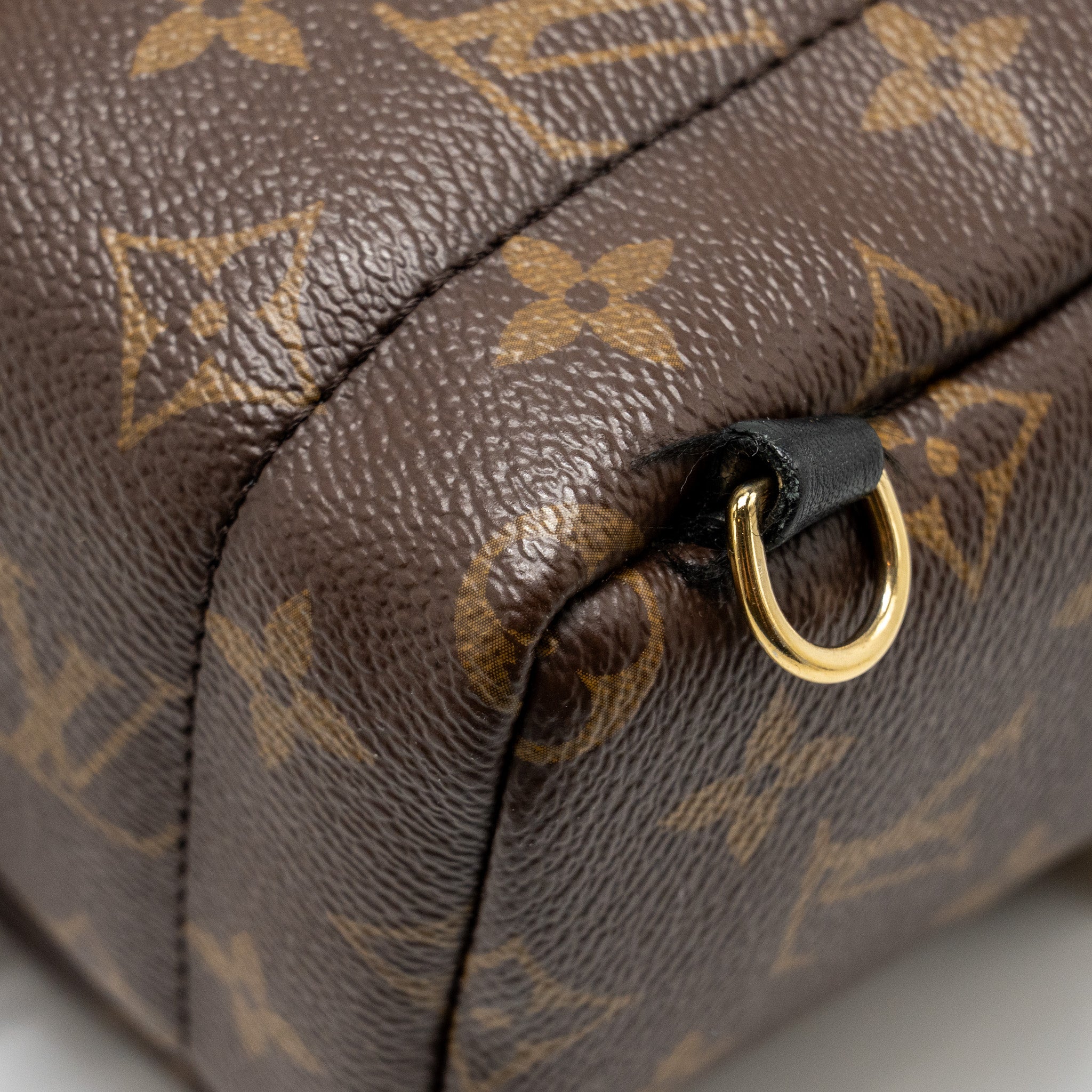 louis-vuitton-mini-palm-spring-backpack-monogram-canvas-ghw-12