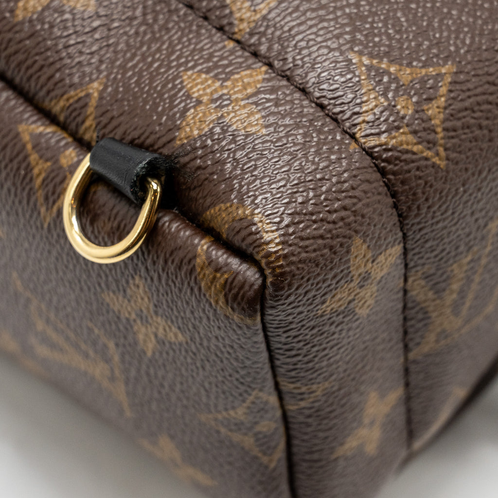 louis-vuitton-mini-palm-spring-backpack-monogram-canvas-ghw-12