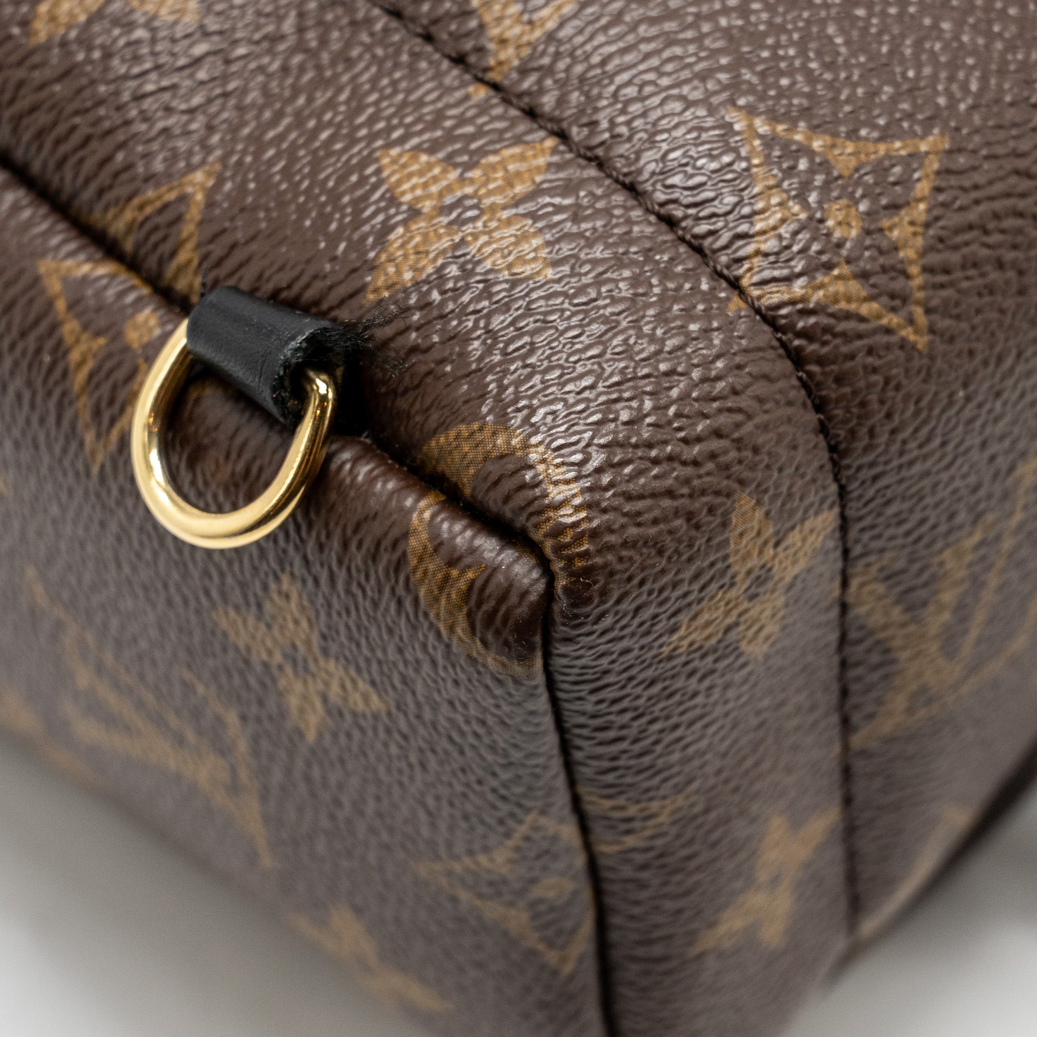 louis-vuitton-mini-palm-spring-backpack-monogram-canvas-ghw-12