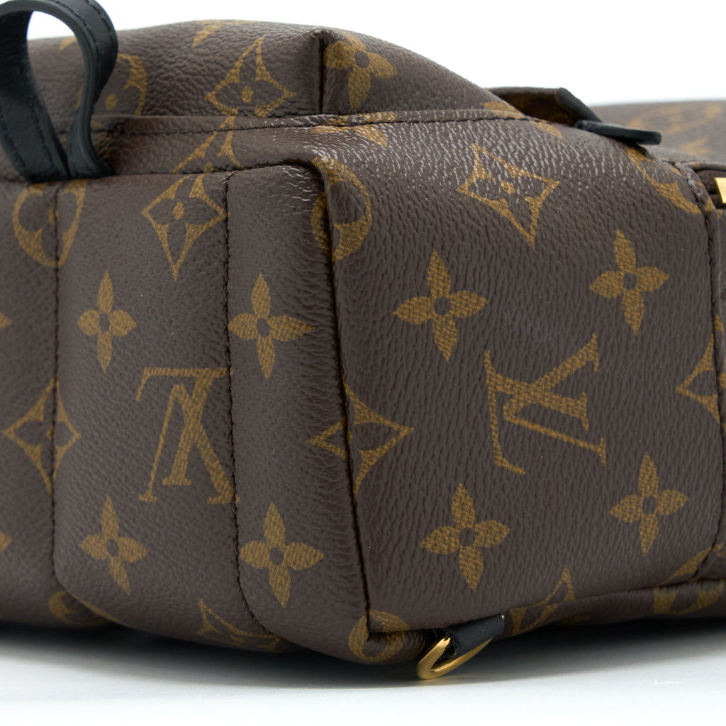 louis-vuitton-palm-spring-mini-backpack-monogram-canvas-ghw-4