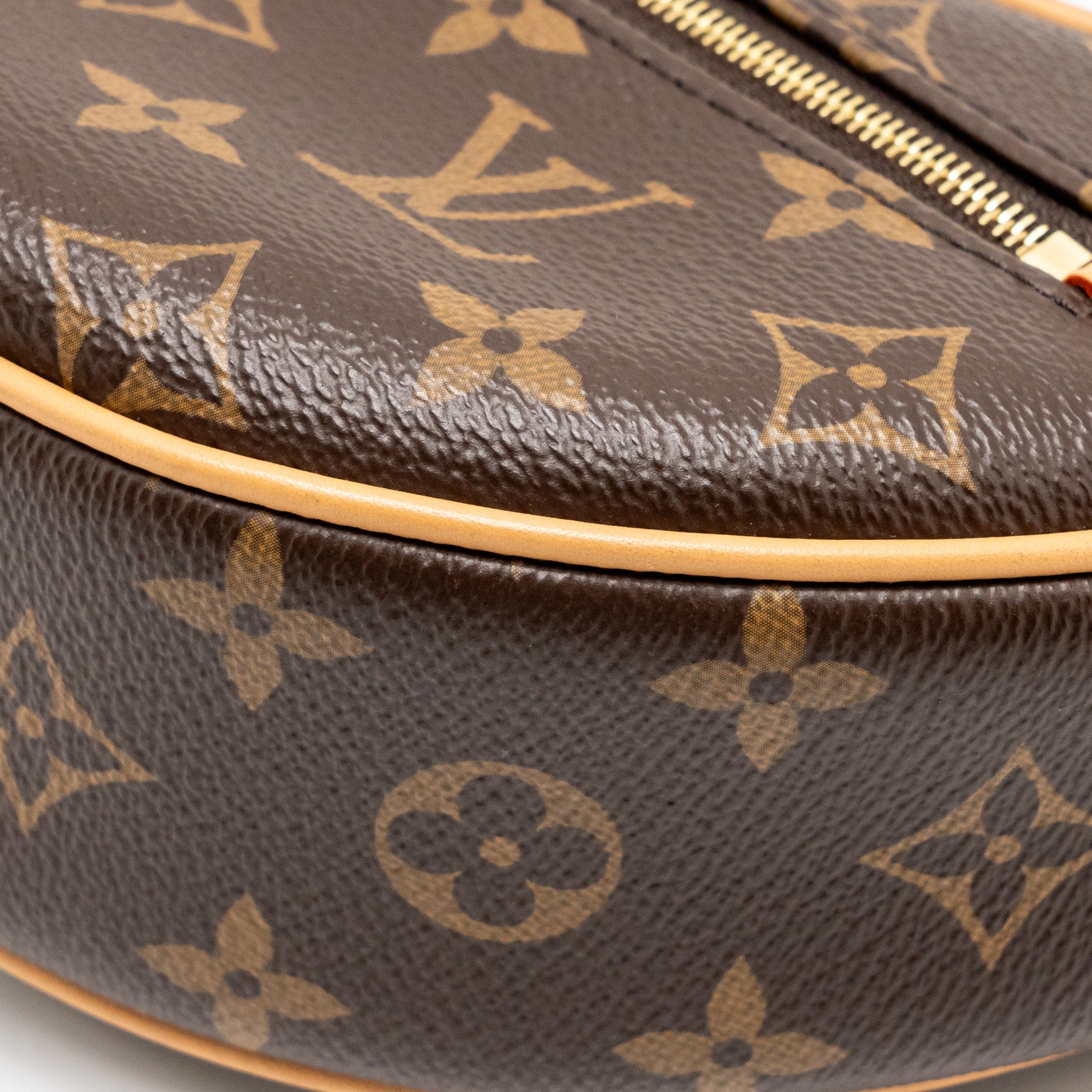 louis-vuitton-half-moon-loop-baguette-monogram-canvas-ghw