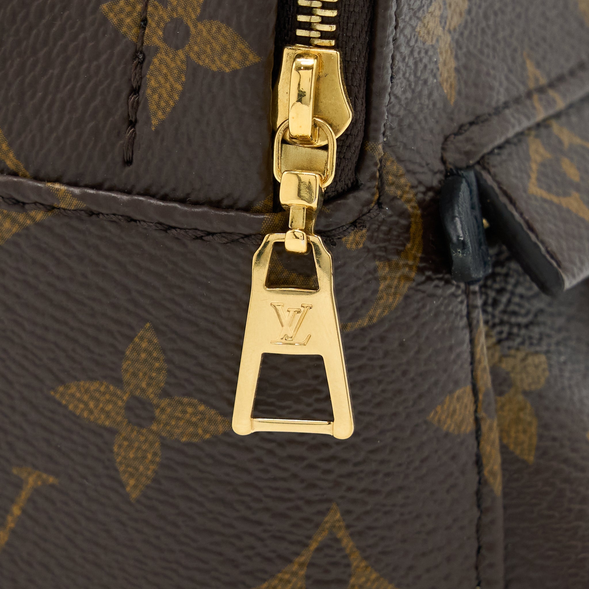 louis-vuitton-palm-spring-mini-backpack-monogram-canvas-ghw-4