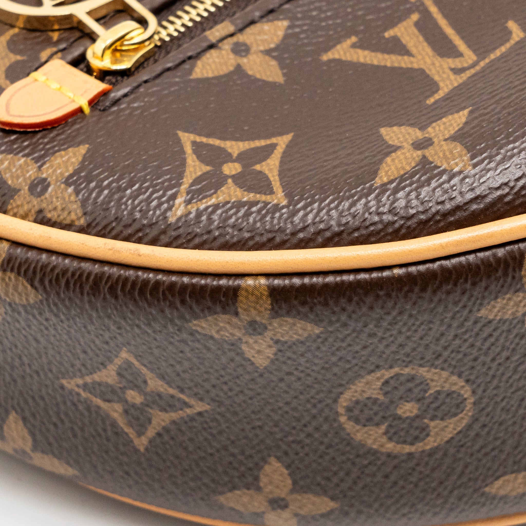 louis-vuitton-half-moon-loop-baguette-monogram-canvas-ghw