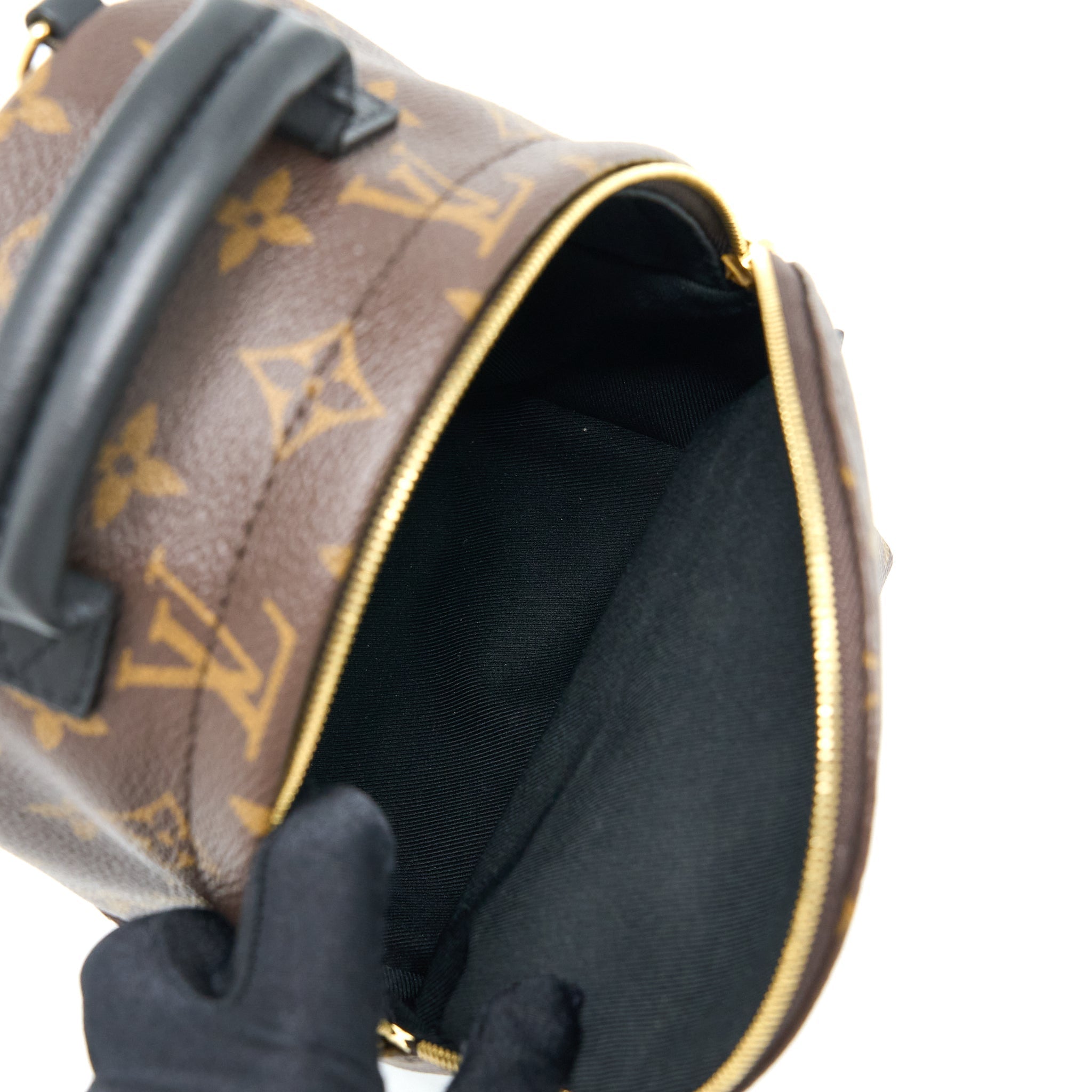louis-vuitton-palm-spring-mini-backpack-monogram-canvas-ghw-4