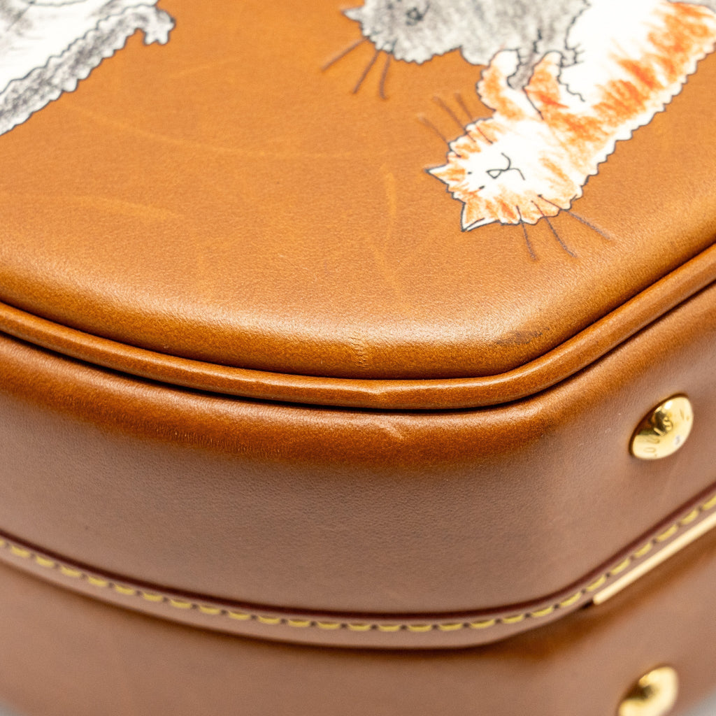 louis-vuitton-boite-chapeau-bag-limited-edition-grace-coddington-catogram-petit-calfskin-brown-ghw