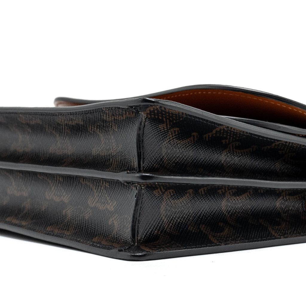 celine-wallet-on-strap-triomphe-canvas-smooth-lambskin-tan-ghw-3