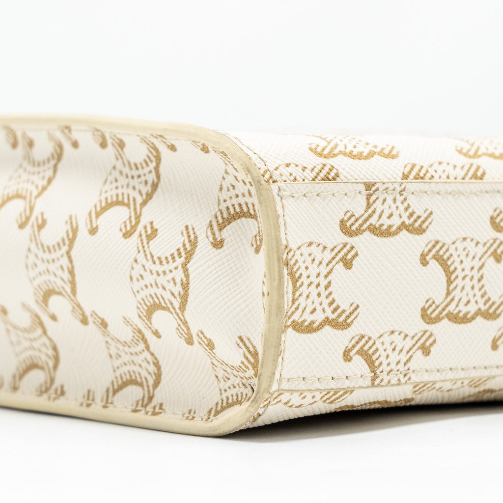 celine-mini-vertical-cabas-triomphe-canvas-calfskin-white-ghw-1