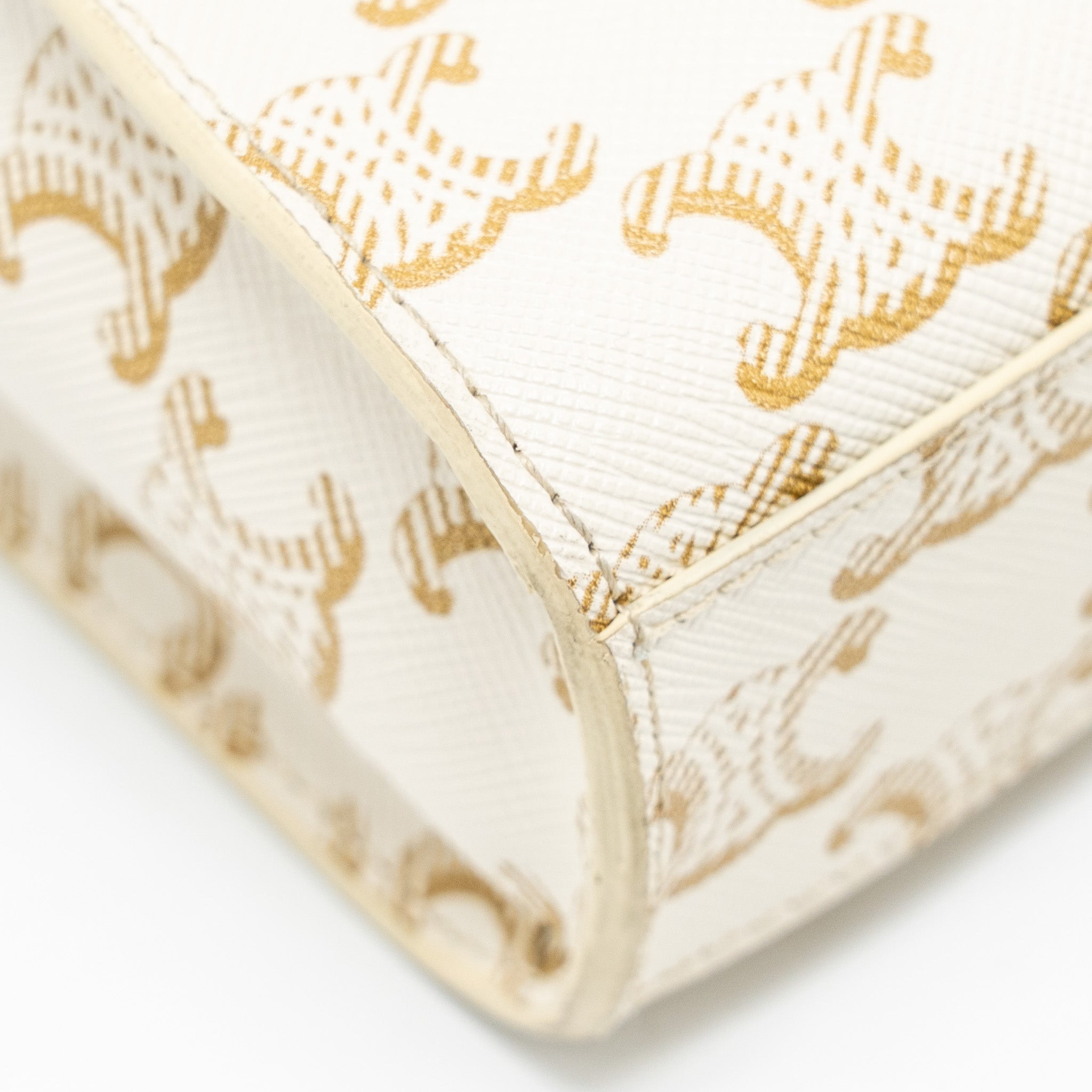 celine-mini-vertical-cabas-triomphe-canvas-calfskin-white-ghw-1