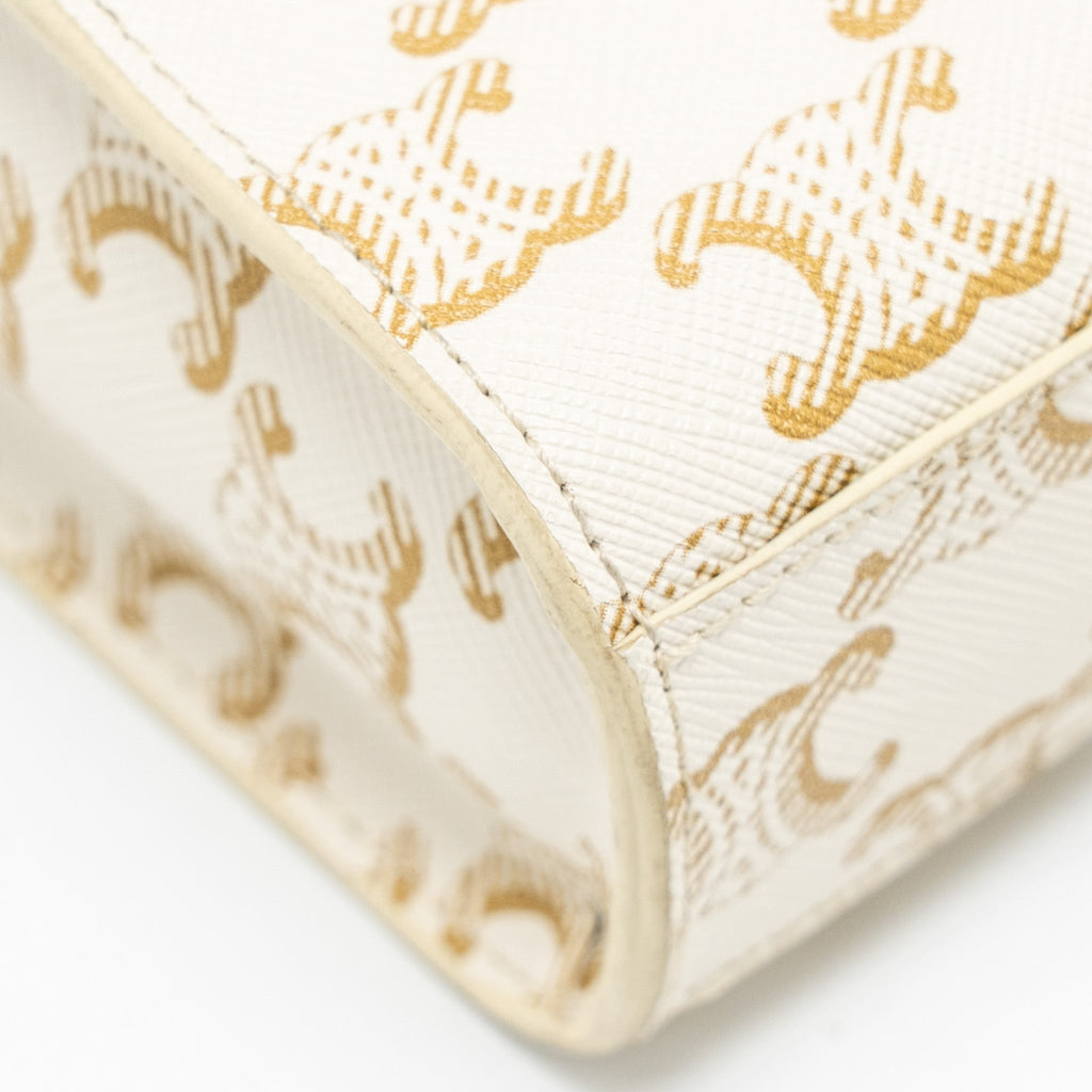 celine-mini-vertical-cabas-triomphe-canvas-calfskin-white-ghw-1
