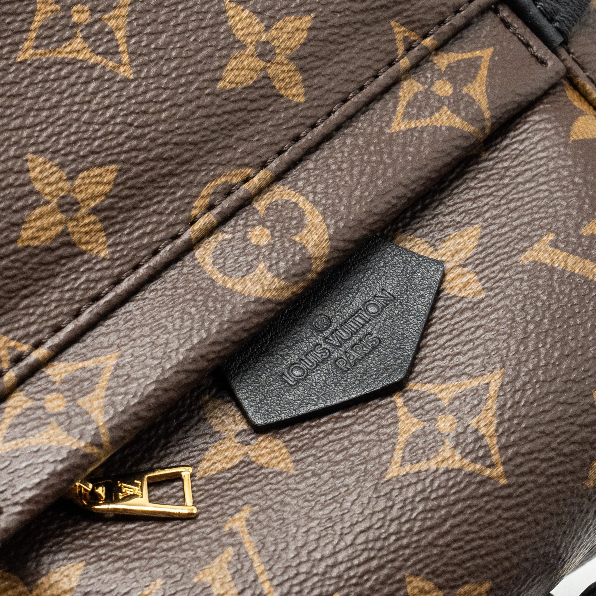 louis-vuitton-palm-spring-mini-backpack-monogram-canvas-2