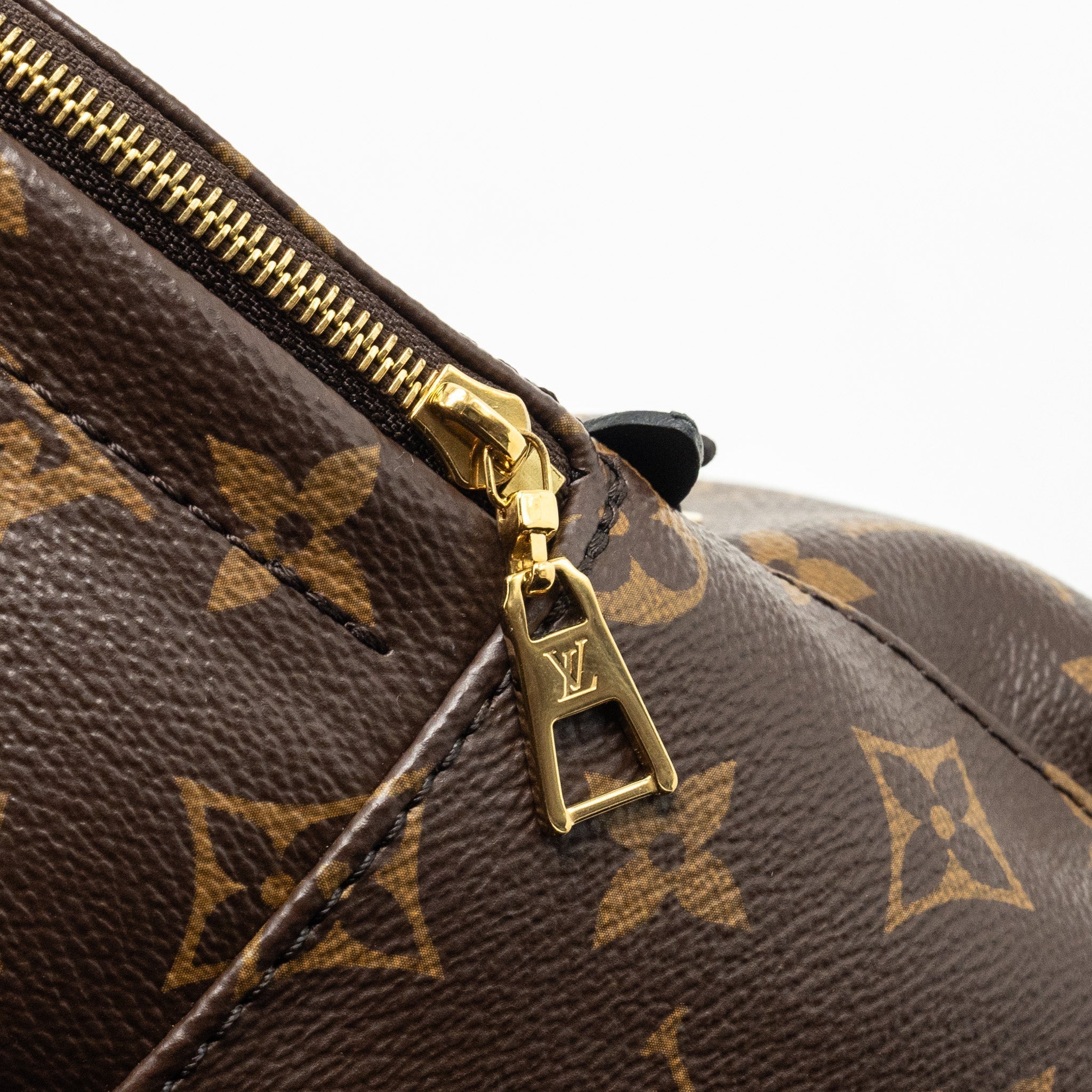 louis-vuitton-palm-spring-mini-backpack-monogram-canvas-2