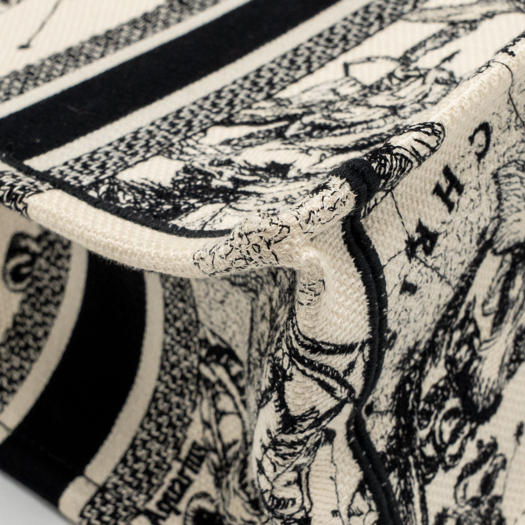 dior-small-dior-book-tote-dior-zodiac-embroidery-canvas-latte-black