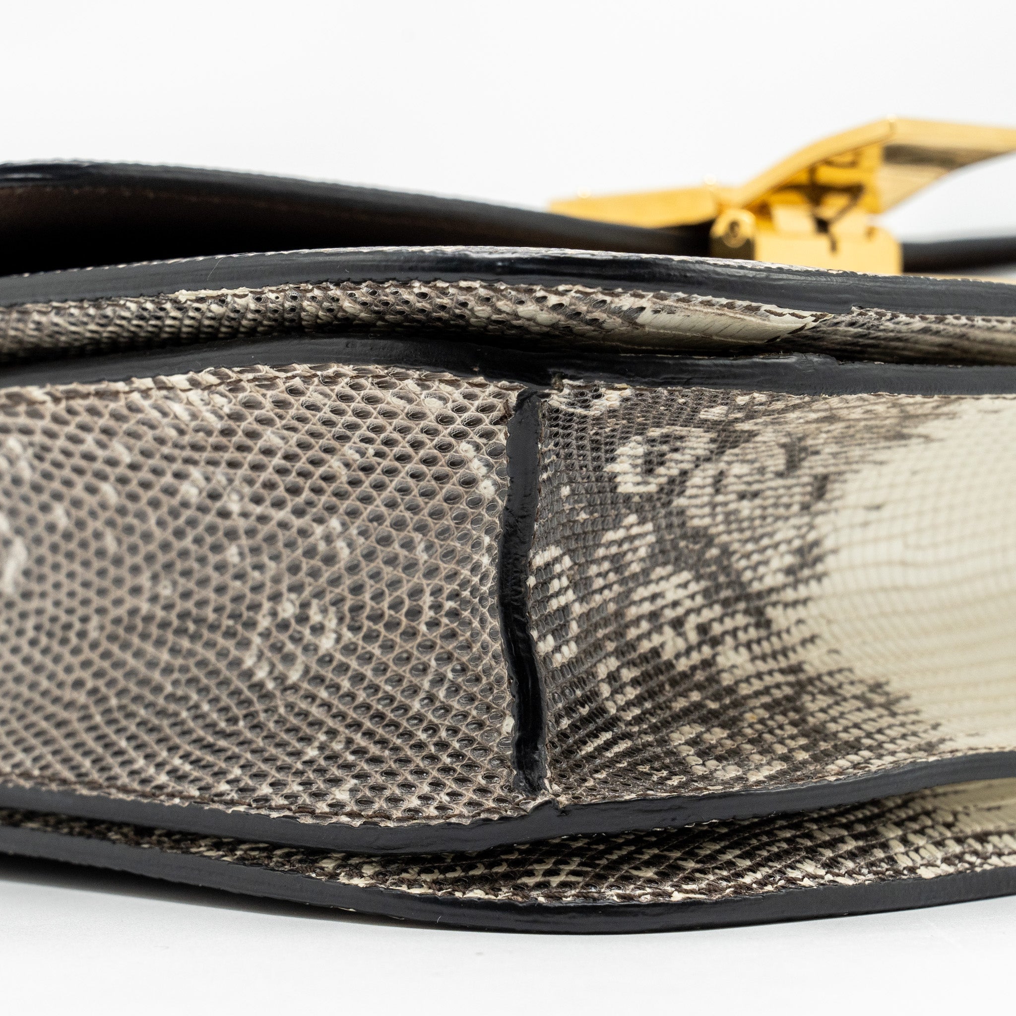 celine-medium-box-lizard-natural-ghw-1