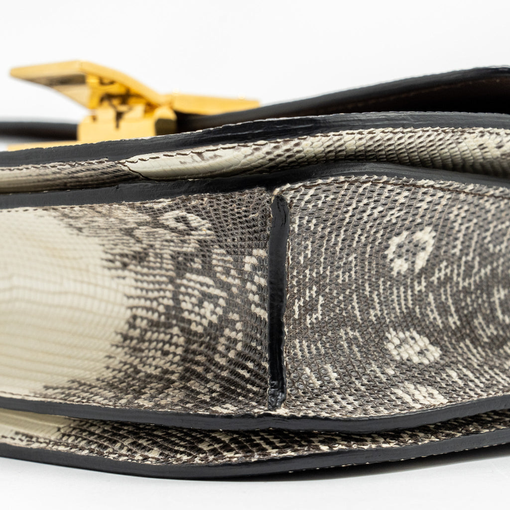 celine-medium-box-lizard-natural-ghw-1