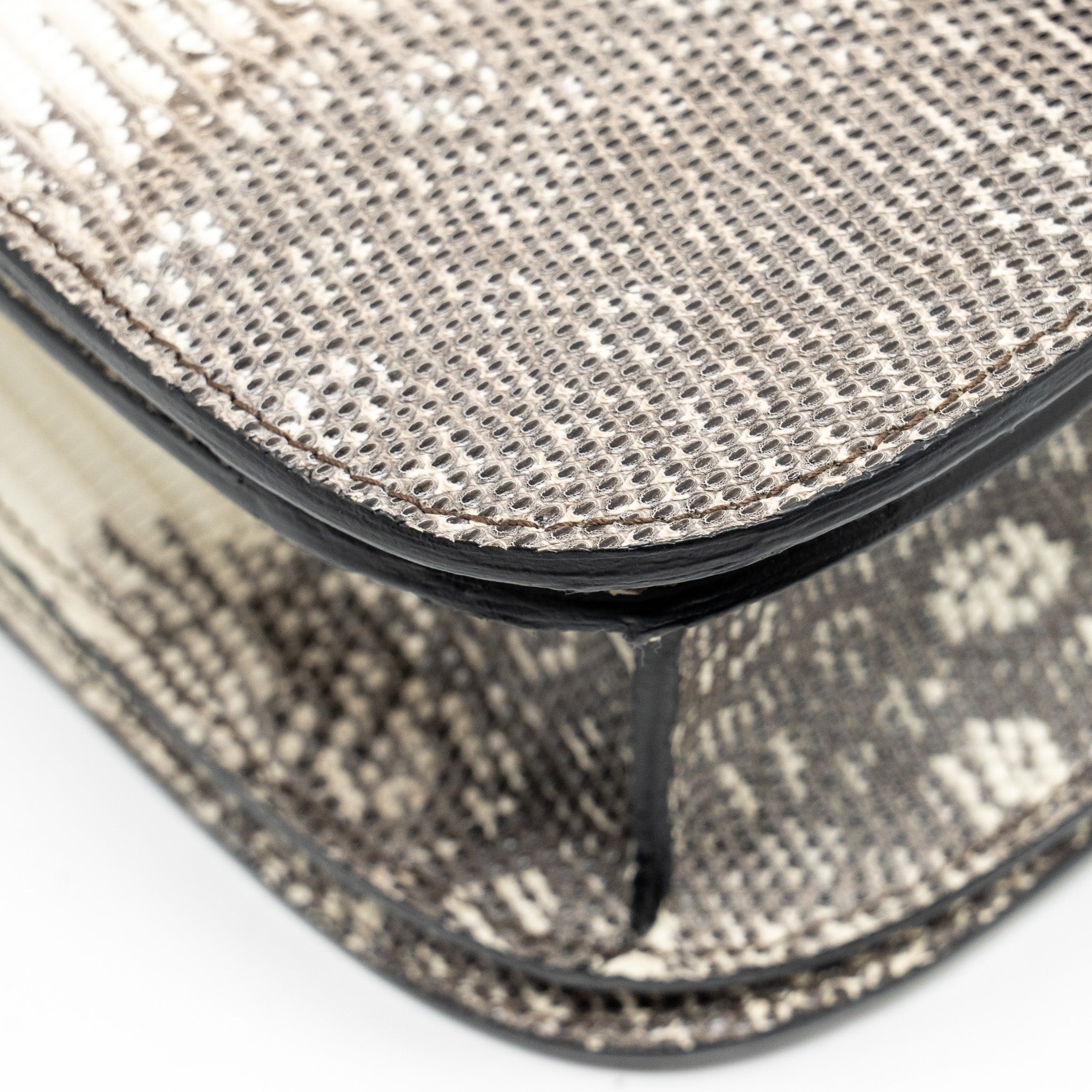 celine-medium-box-lizard-natural-ghw-1