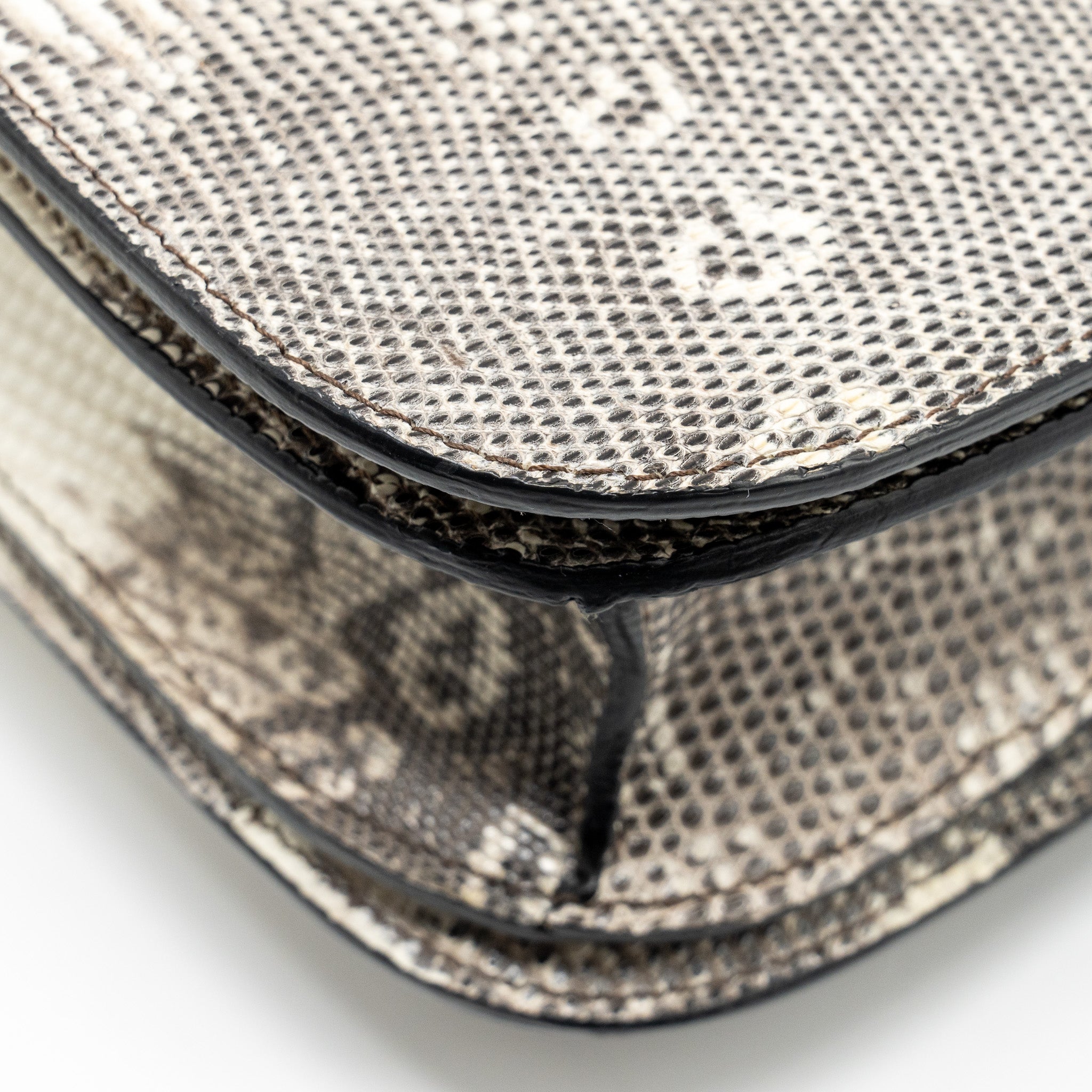 celine-medium-box-lizard-natural-ghw-1