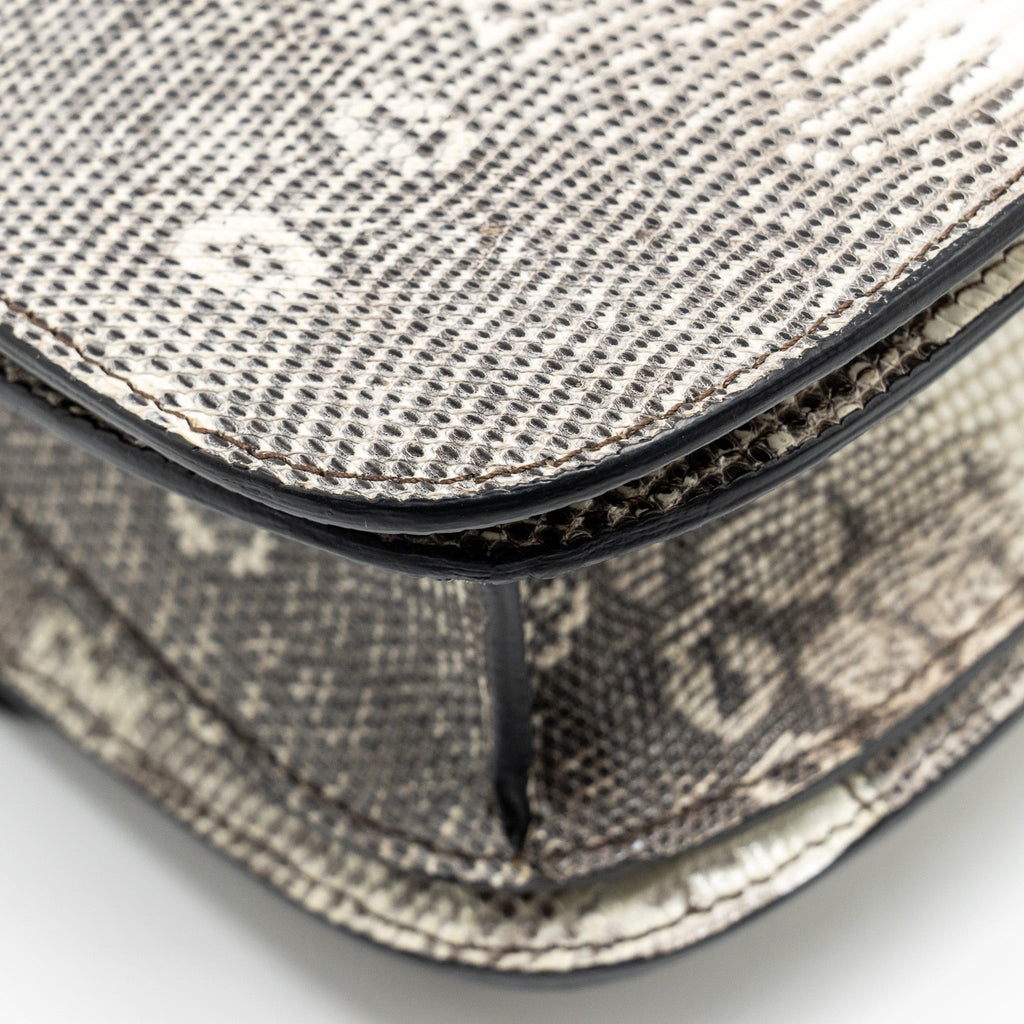 celine-medium-box-lizard-natural-ghw-1