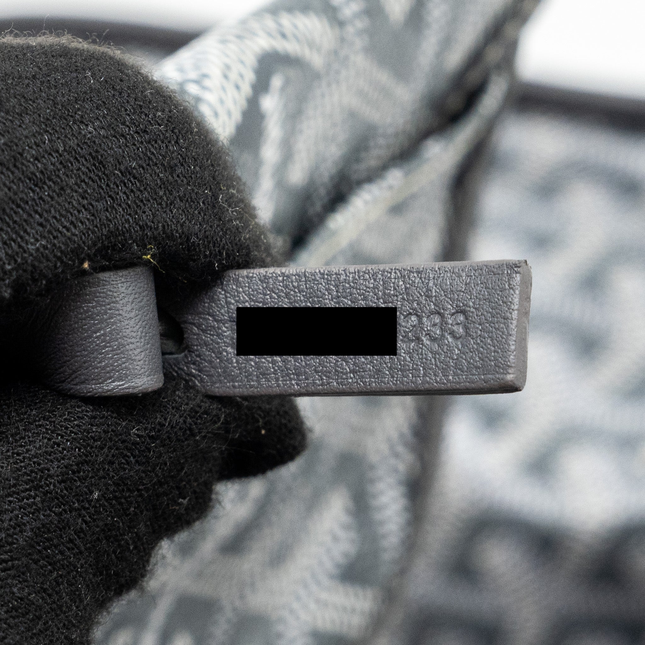goyard-mini-anjou-tote-bag-goyardine-canvas-grey