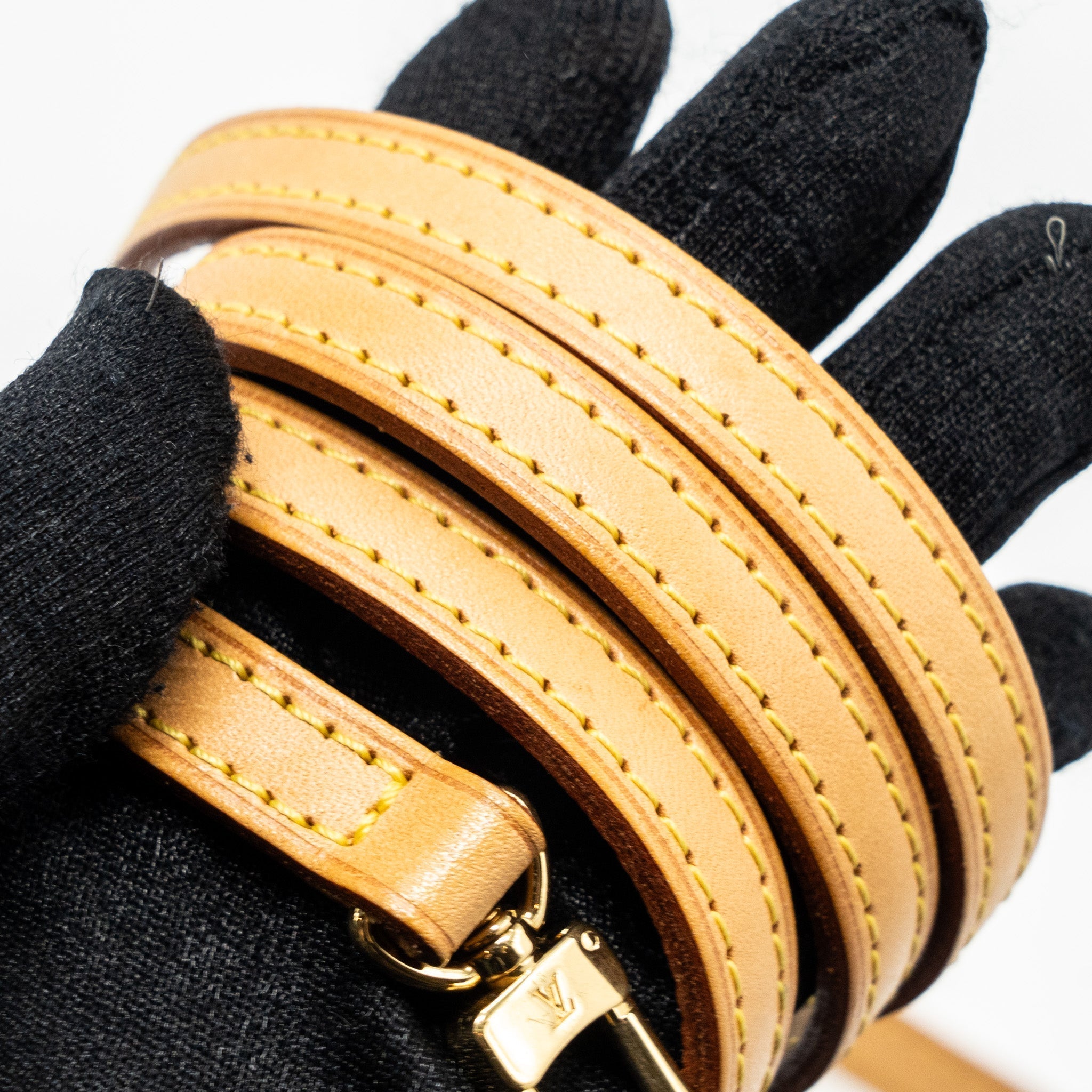 louis-vuitton-eva-pochette-monogram-canvas-ghw-1