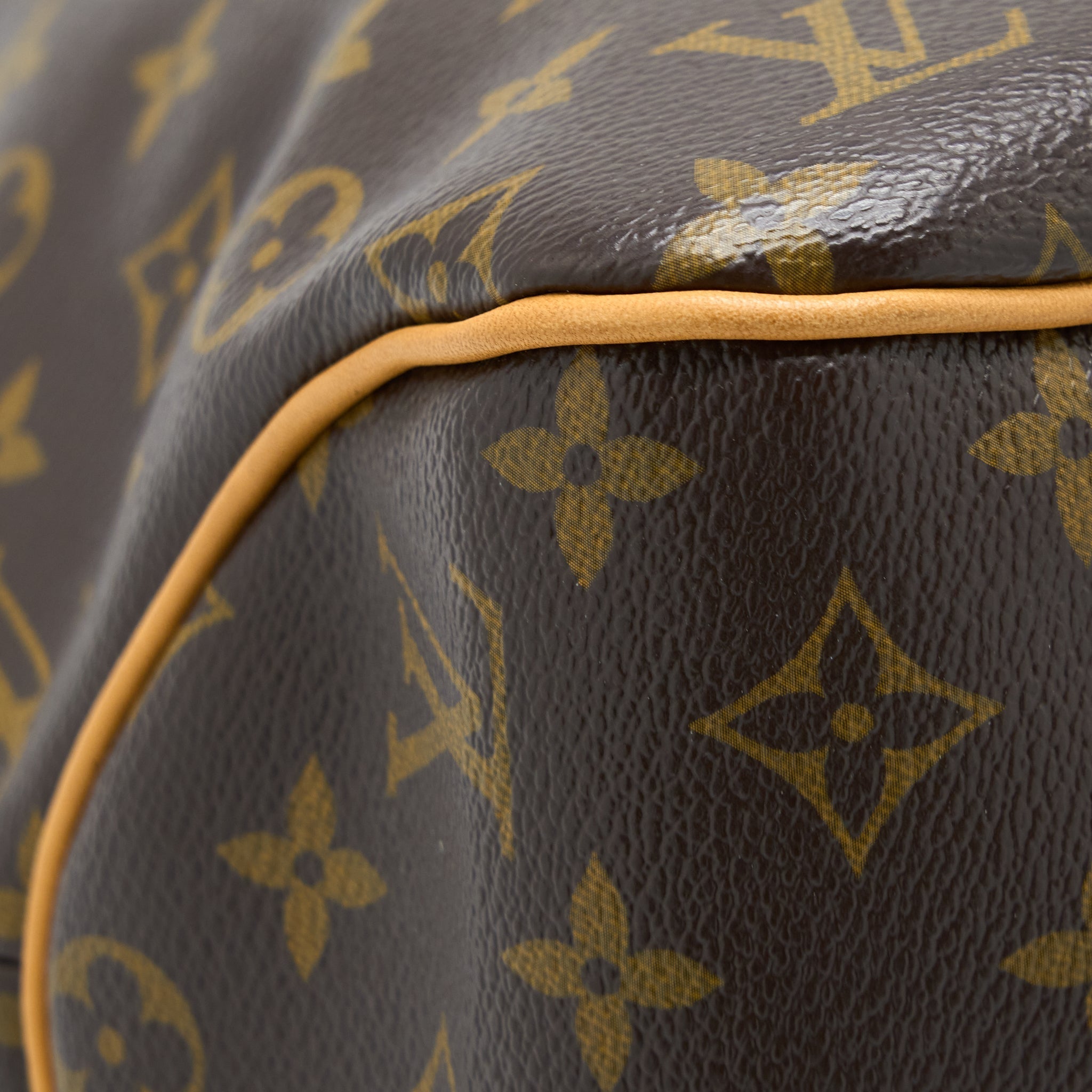 louis-vuitton-delightful-mm-monogram-canvas-ghw