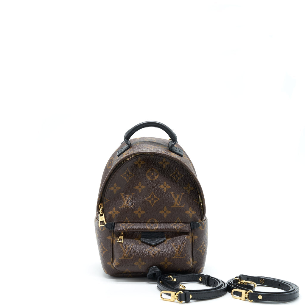 louis-vuitton-palm-spring-mini-backpack-monogram-canvas-ghw-1