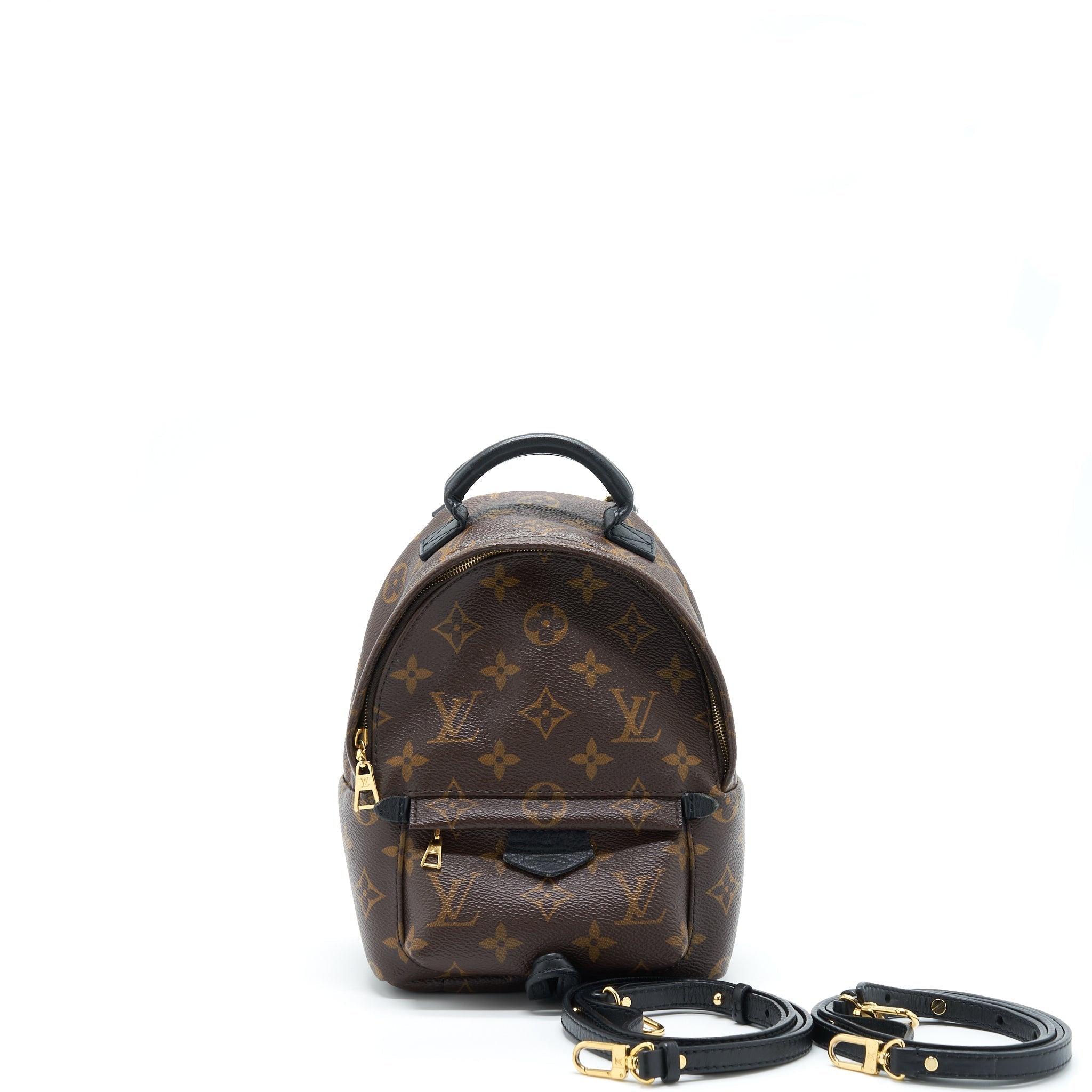 louis-vuitton-palm-spring-mini-backpack-monogram-canvas-ghw-1