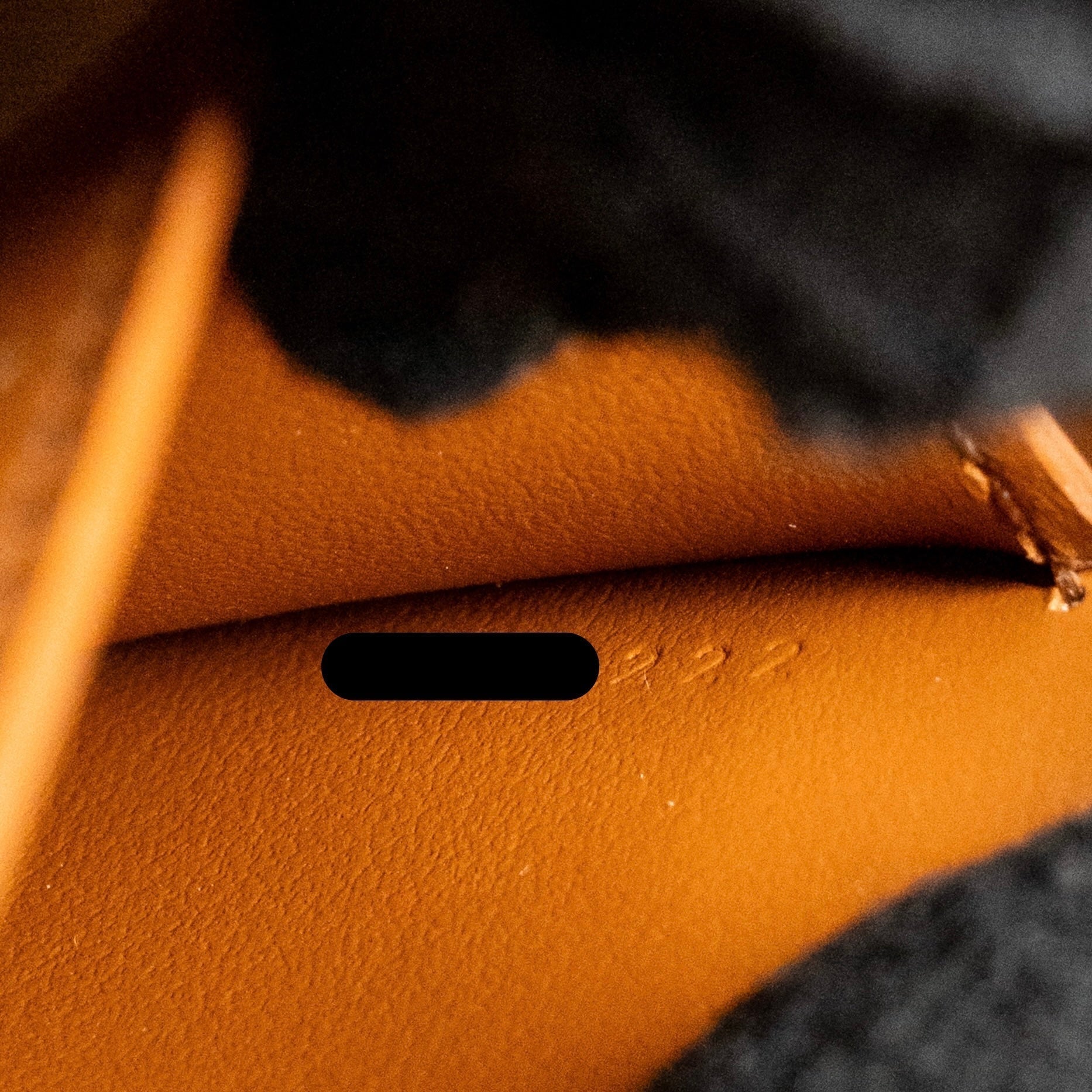 celine-clutch-on-strap-tabou-triomphe-canvas-calfskin-tan-ghw-1