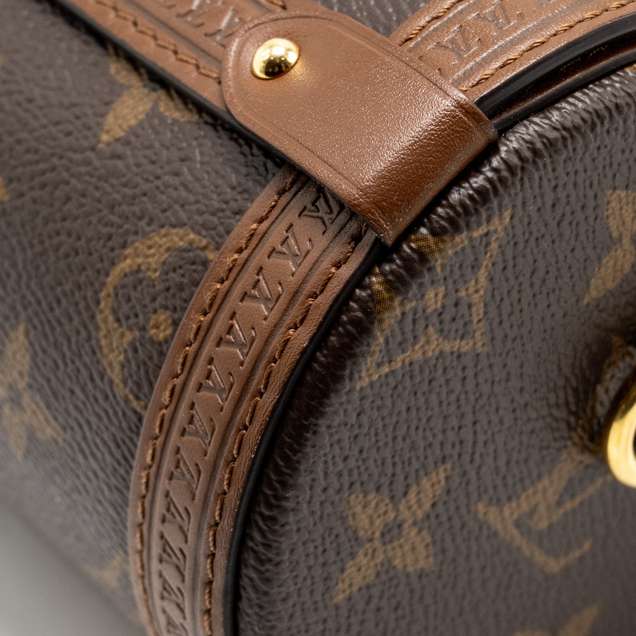louis-vuitton-papillon-trunk-bag-monogram-canvas-ghw-1