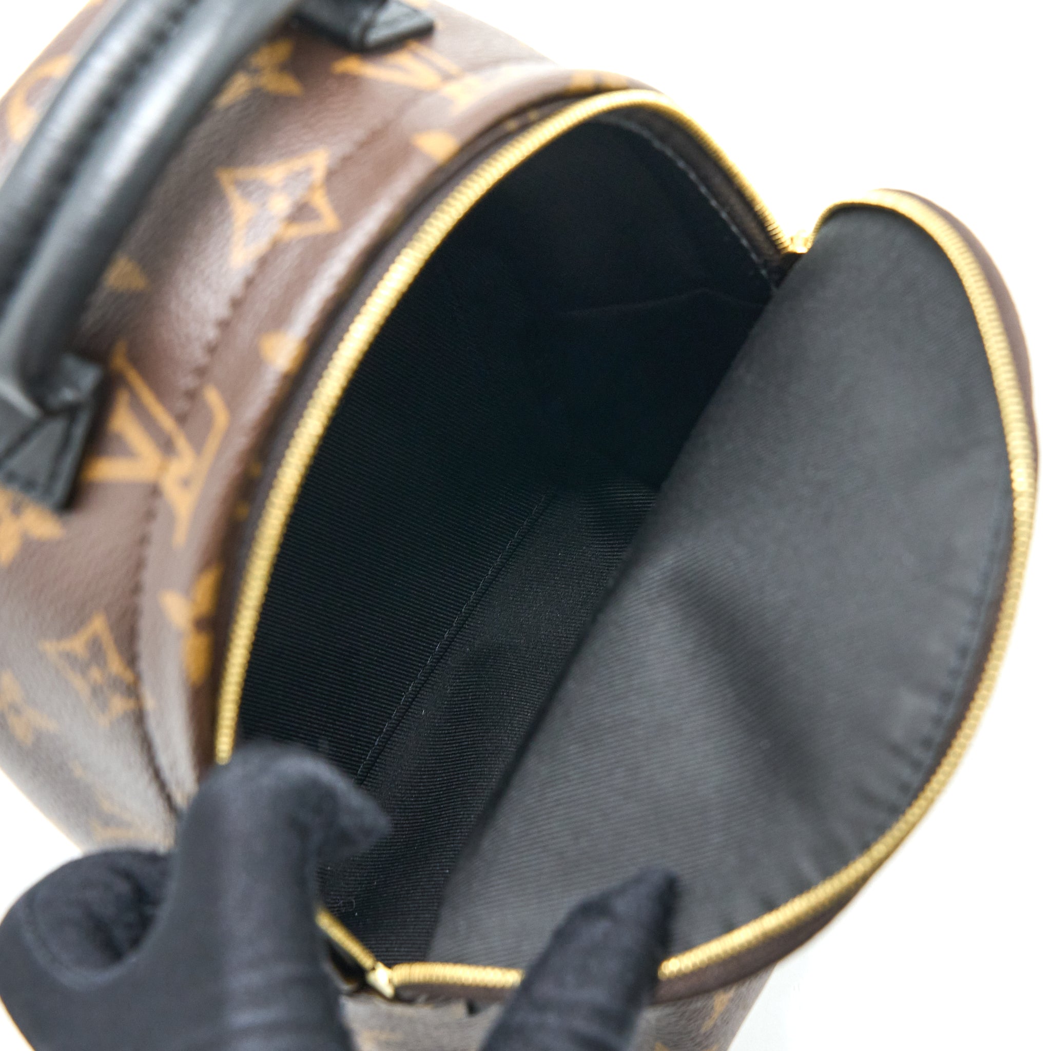louis-vuitton-palm-spring-mini-backpack-monogram-canvas-ghw-7