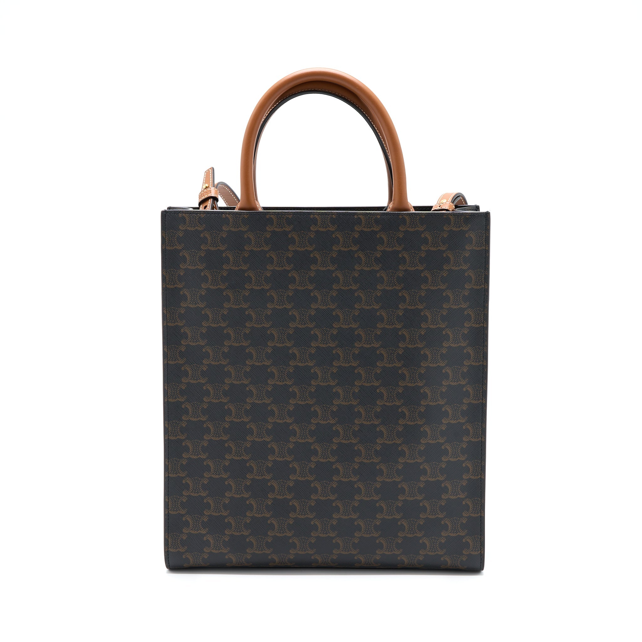 celine-vertical-cab-as-triomphe-canvas