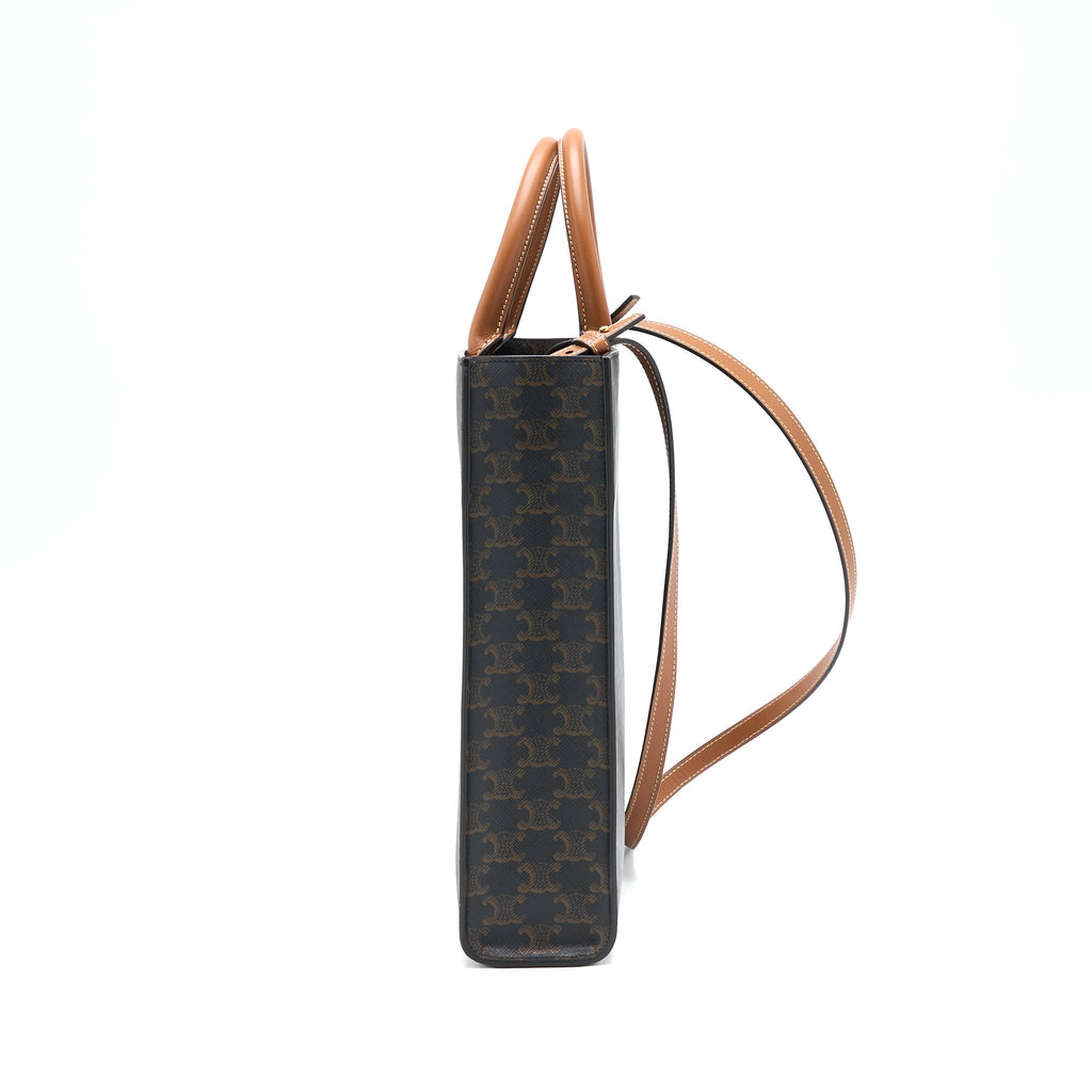 celine-vertical-cab-as-triomphe-canvas
