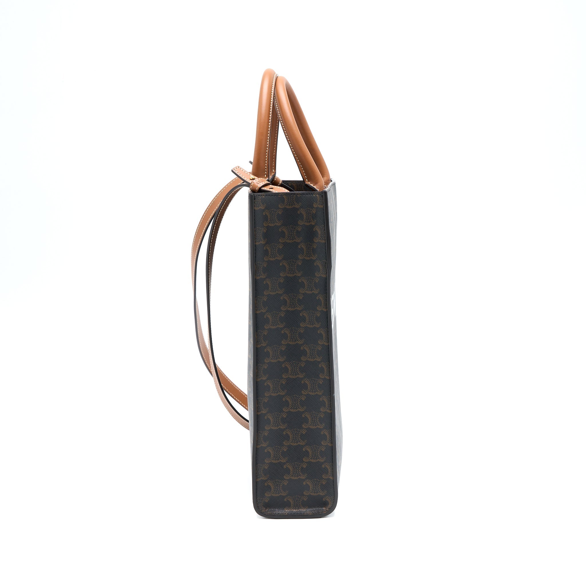 celine-vertical-cab-as-triomphe-canvas