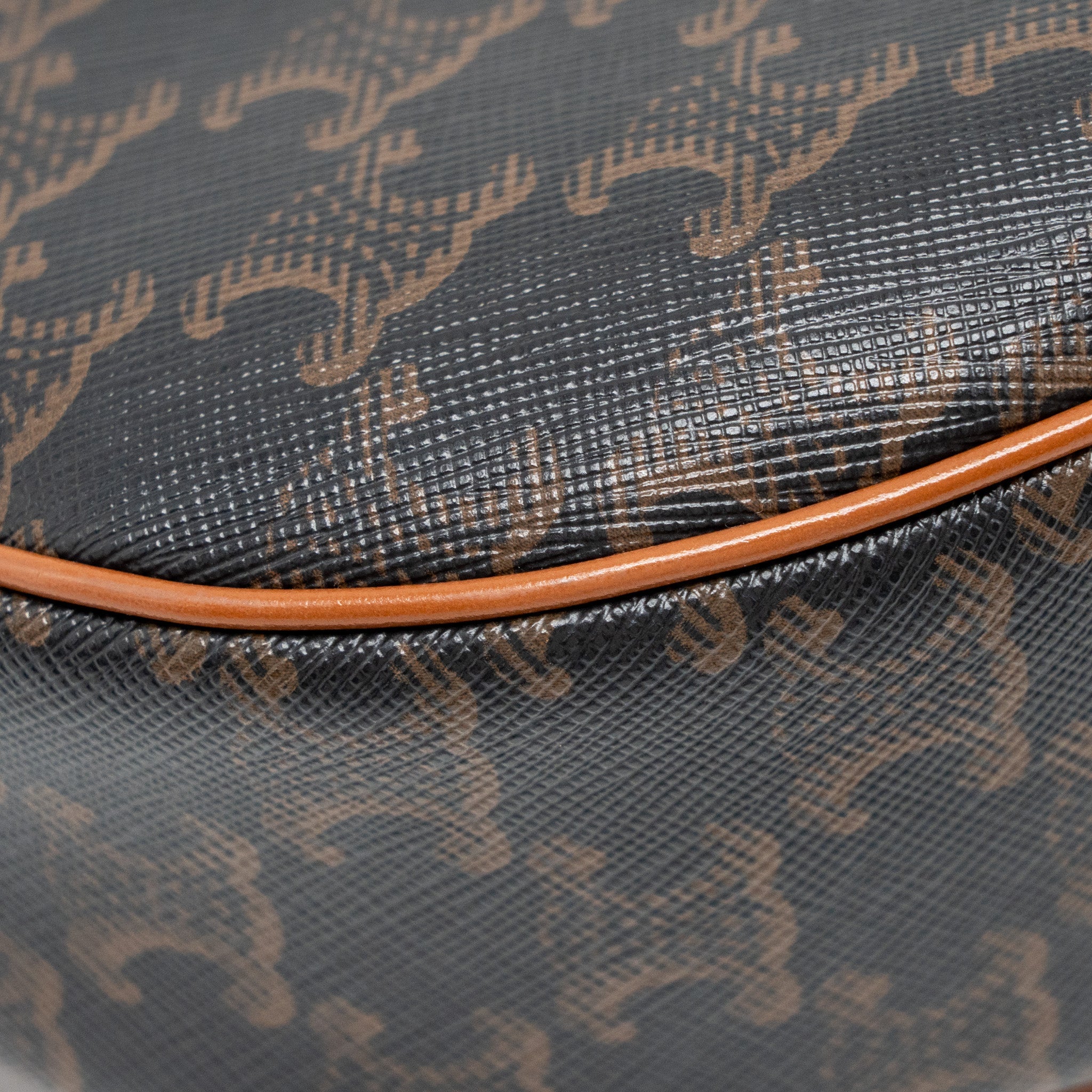celine-ava-bag-triomphe-canvas-tan-ghw-1