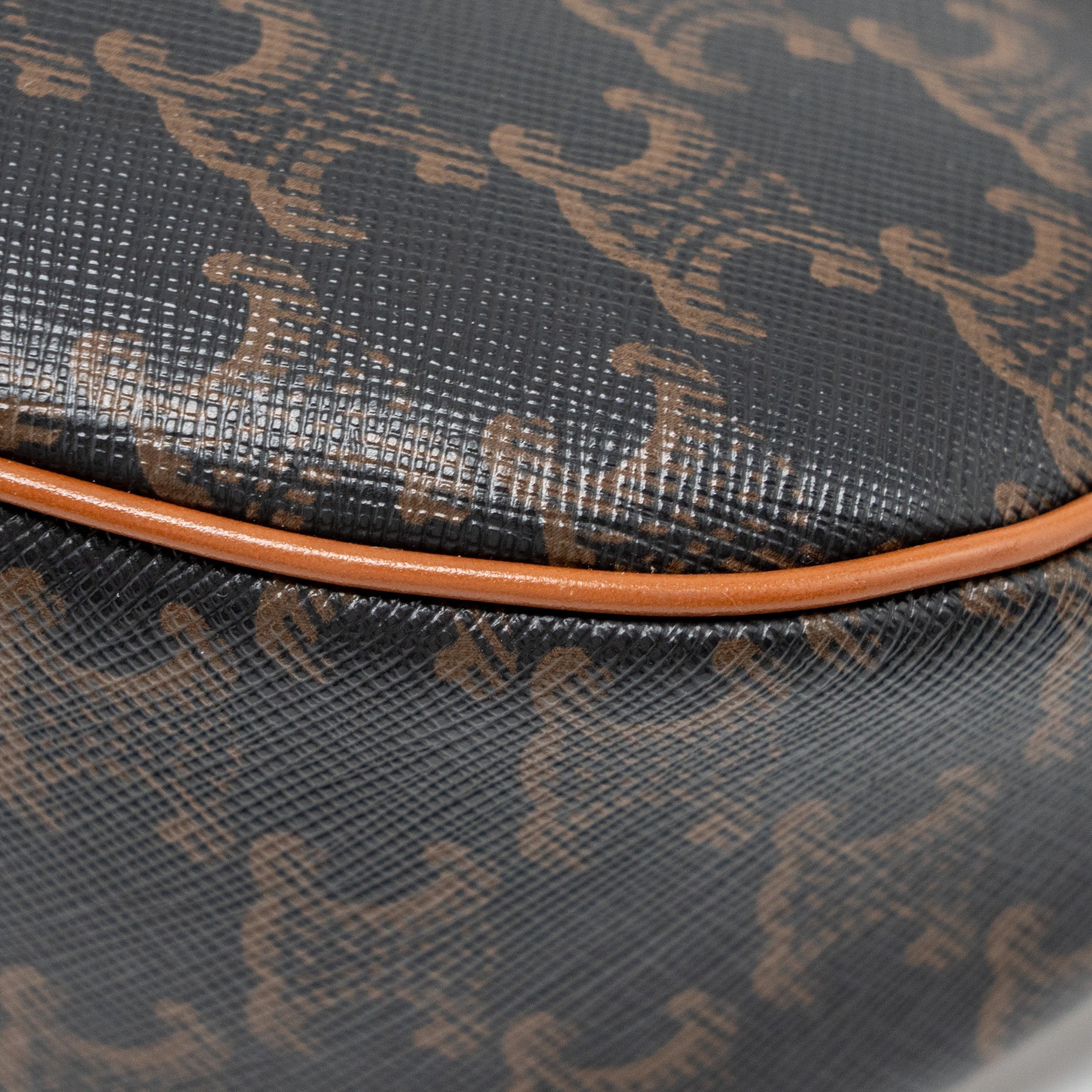 celine-ava-bag-triomphe-canvas-tan-ghw-1