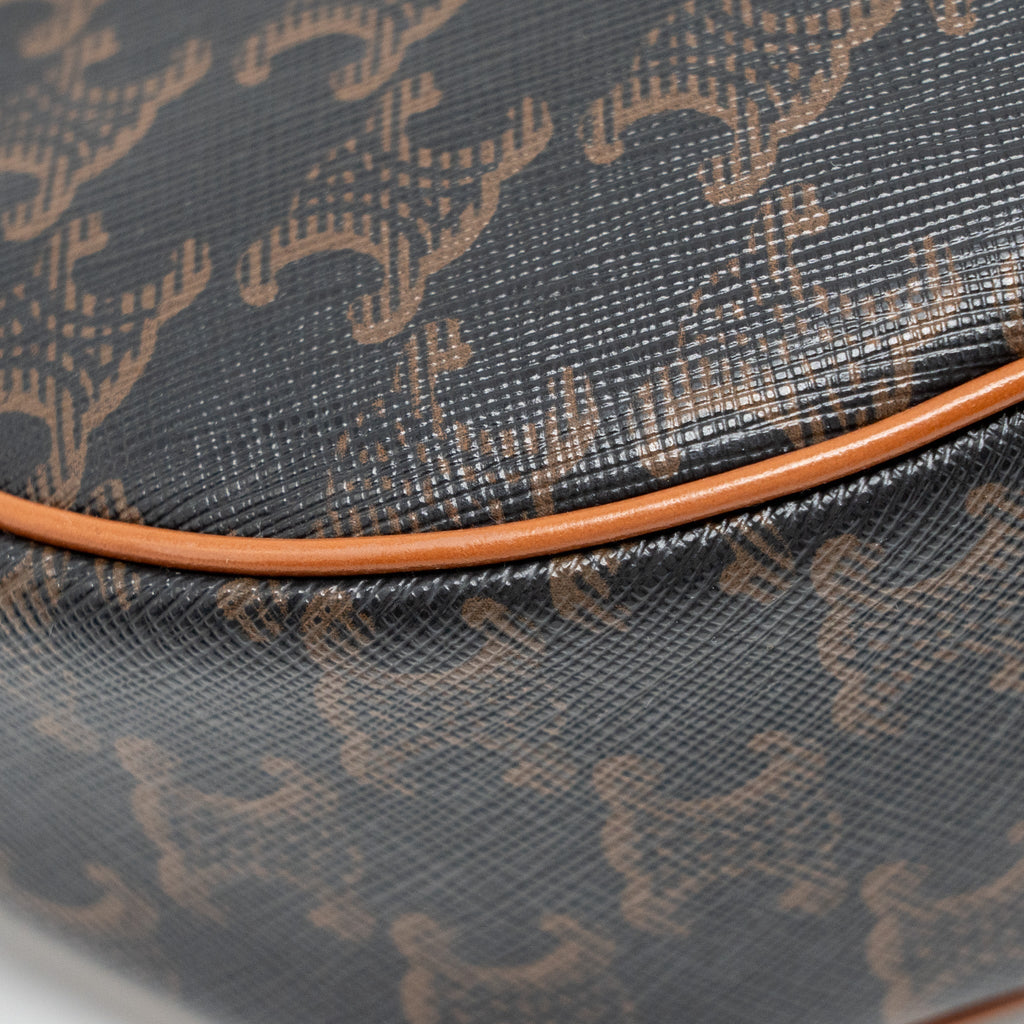 celine-ava-bag-triomphe-canvas-tan-ghw-1