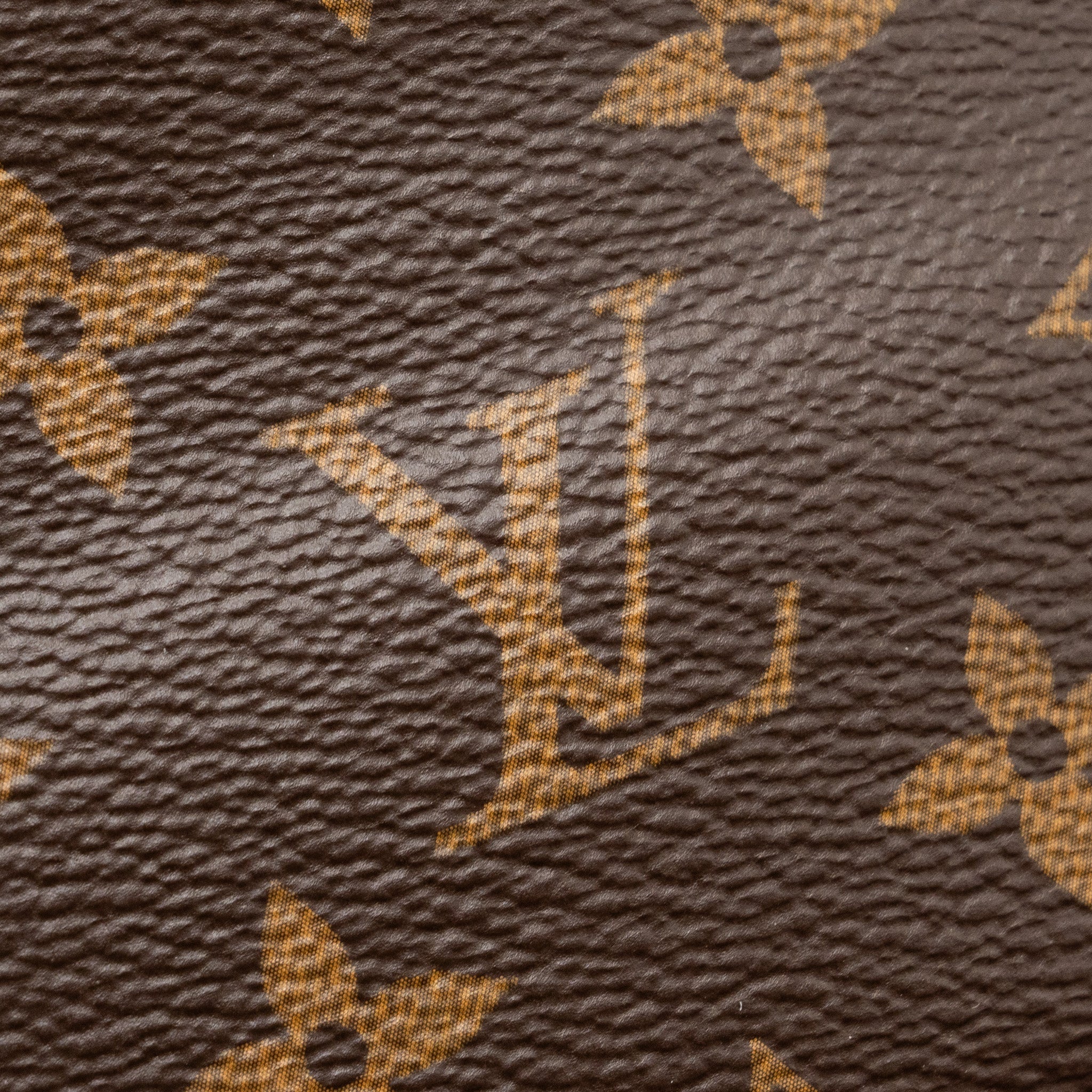 louis-vuitton-vanity-pm-monogram-canvas-ghw-2
