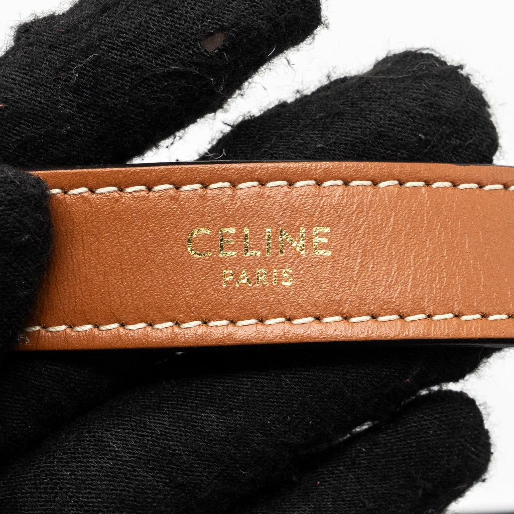 celine-ava-bag-in-triomphe-canvas-and-calfskin-tan-2