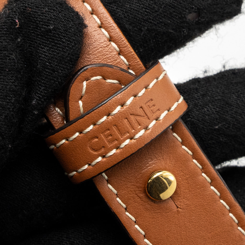 celine-ava-bag-in-triomphe-canvas-and-calfskin-tan-2