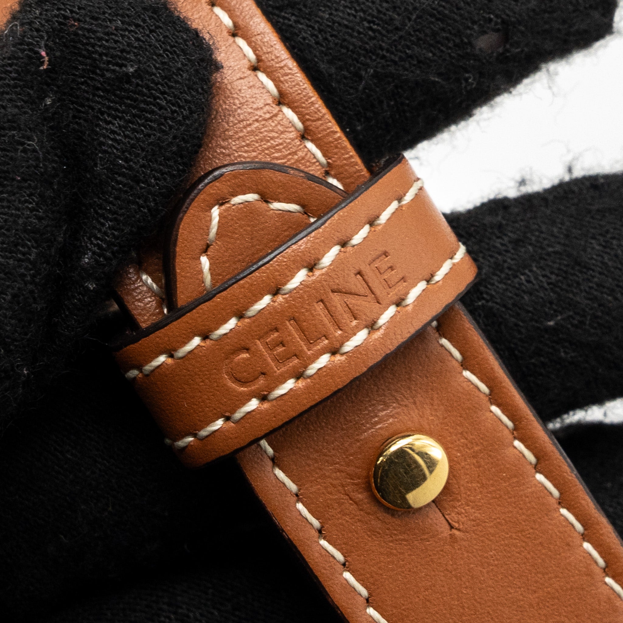 celine-ava-bag-in-triomphe-canvas-and-calfskin-tan-2