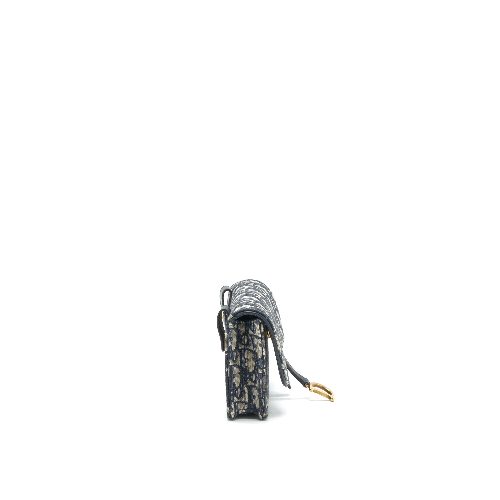 dior-saddle-belt-pouch-oblique