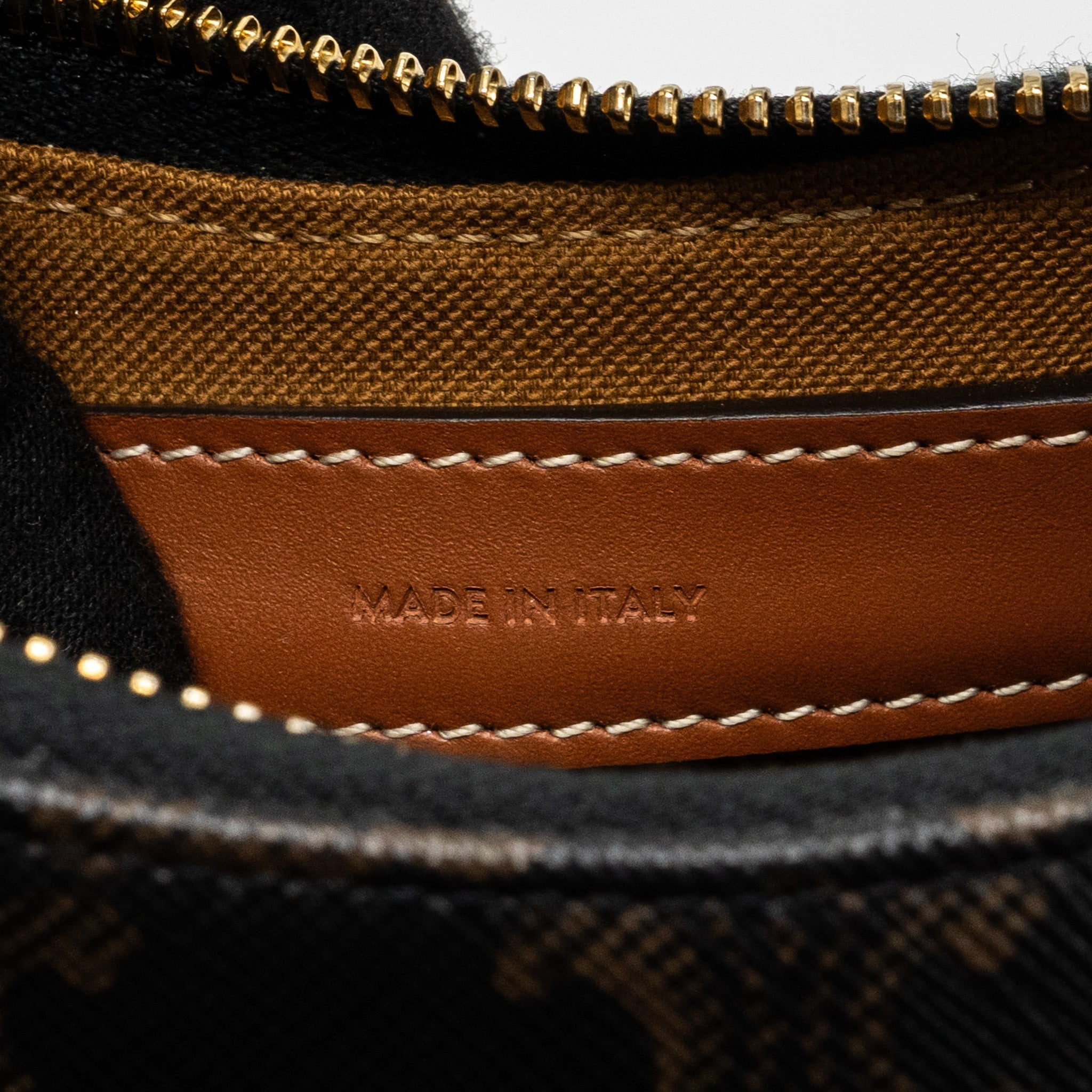 celine-ava-bag-in-triomphe-canvas-and-calfskin-tan-2