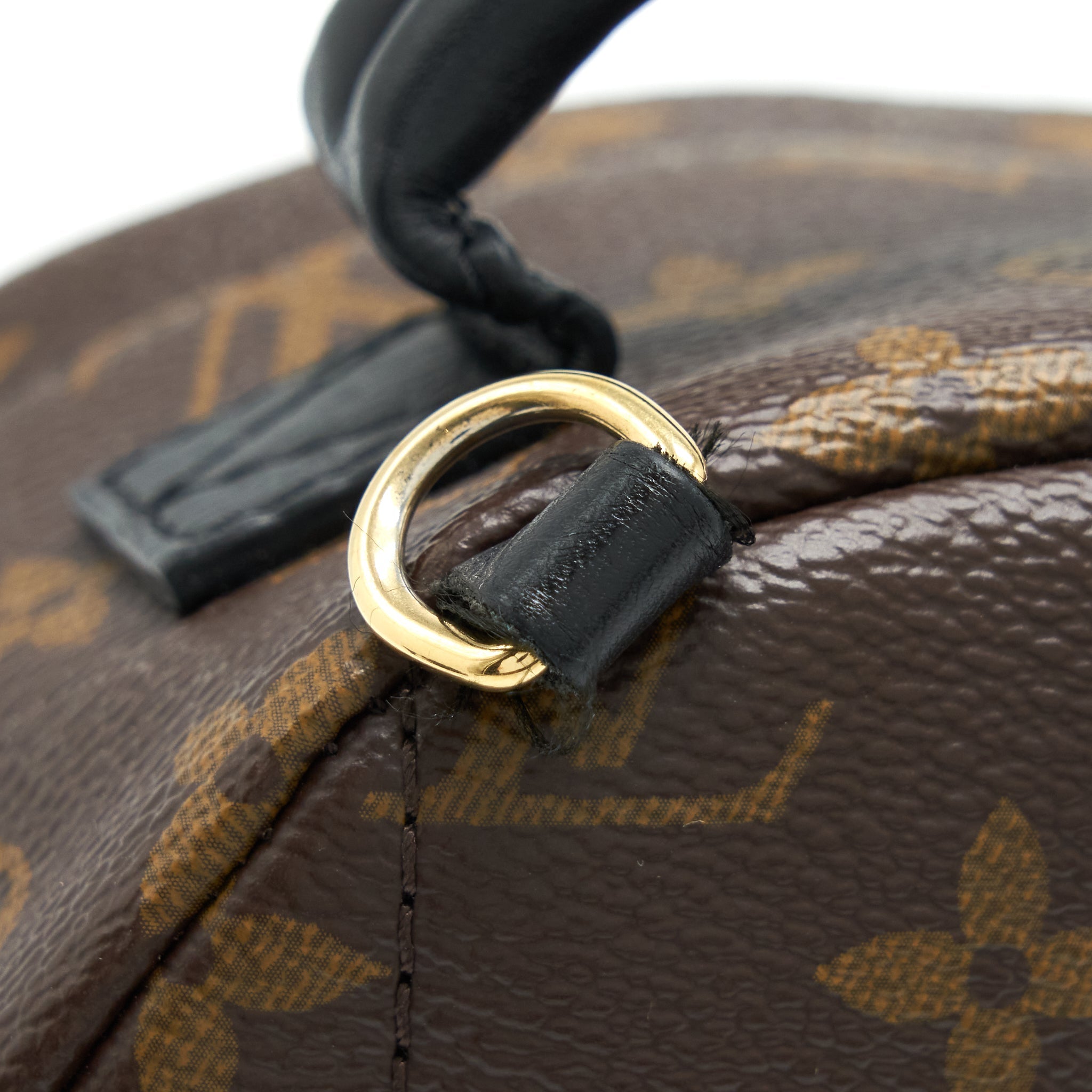 louis-vuitton-palm-spring-mini-backpack-monogram-canvas-ghw-1