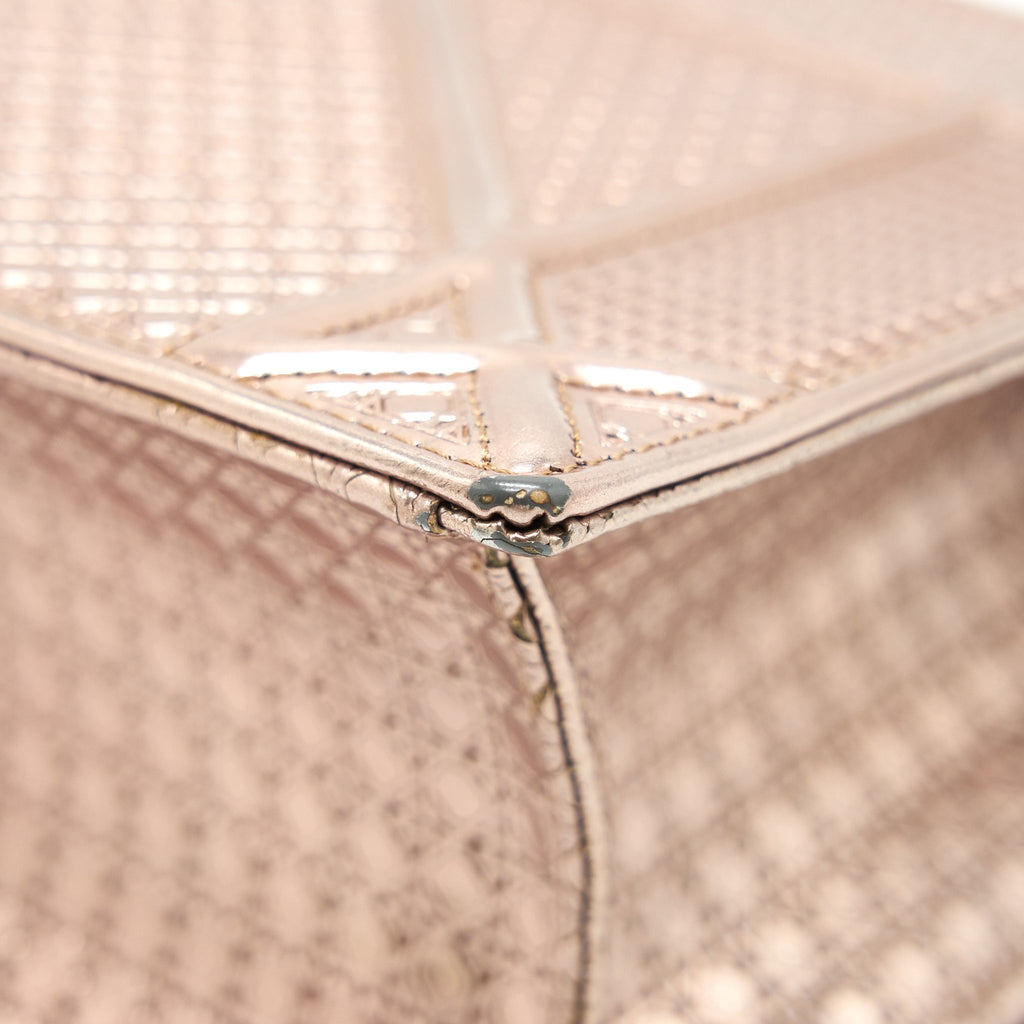 christian-dior-diorama-medium-metallic-light-pink-shw
