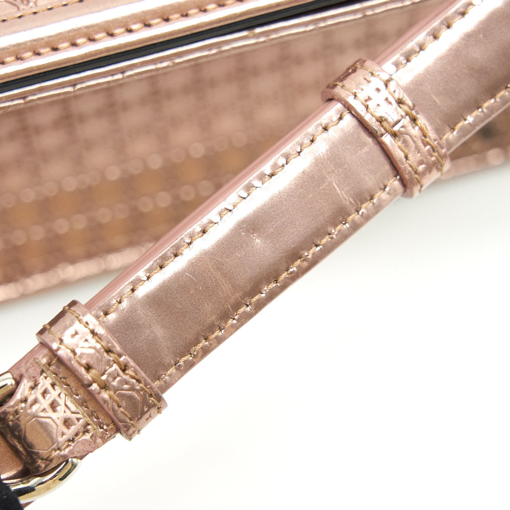christian-dior-diorama-medium-metallic-light-pink-shw