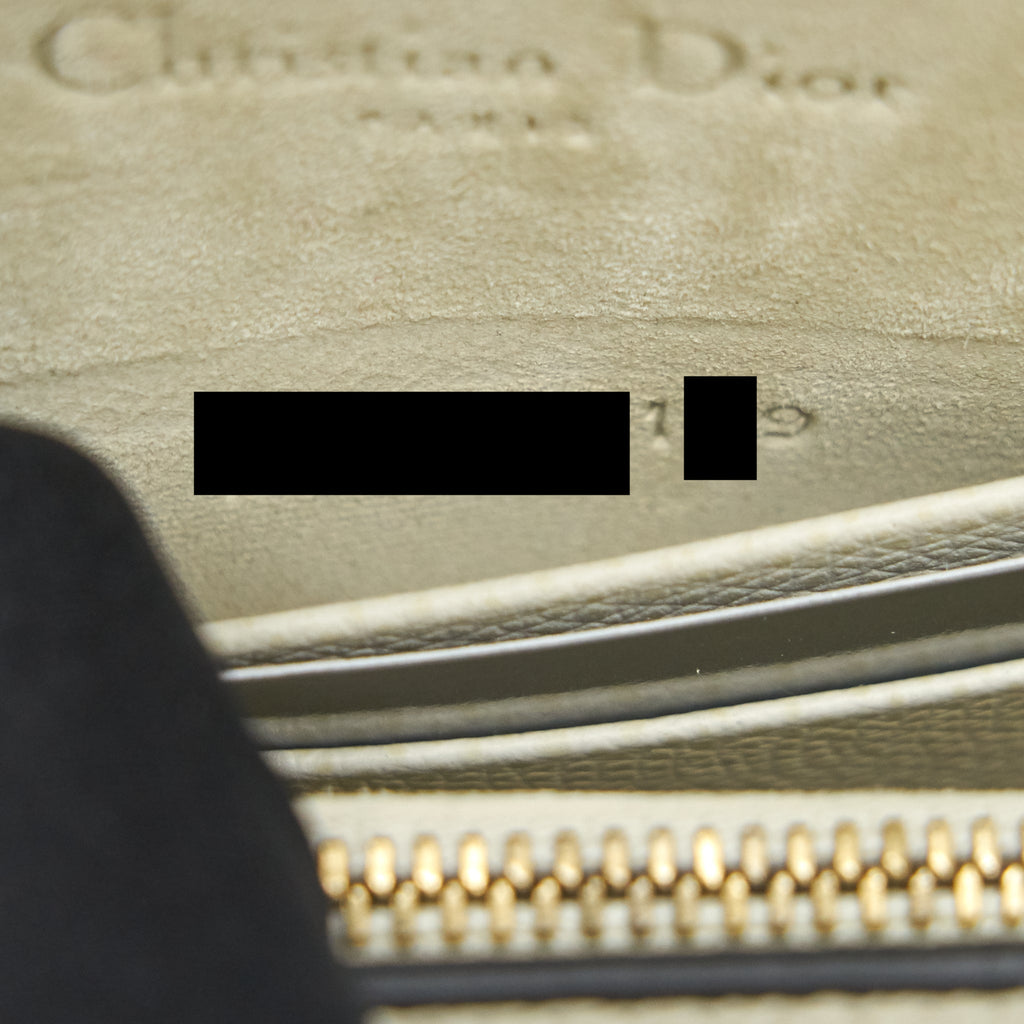 dior-grained-calfskin-saddle-belt-pouche-white-ghw
