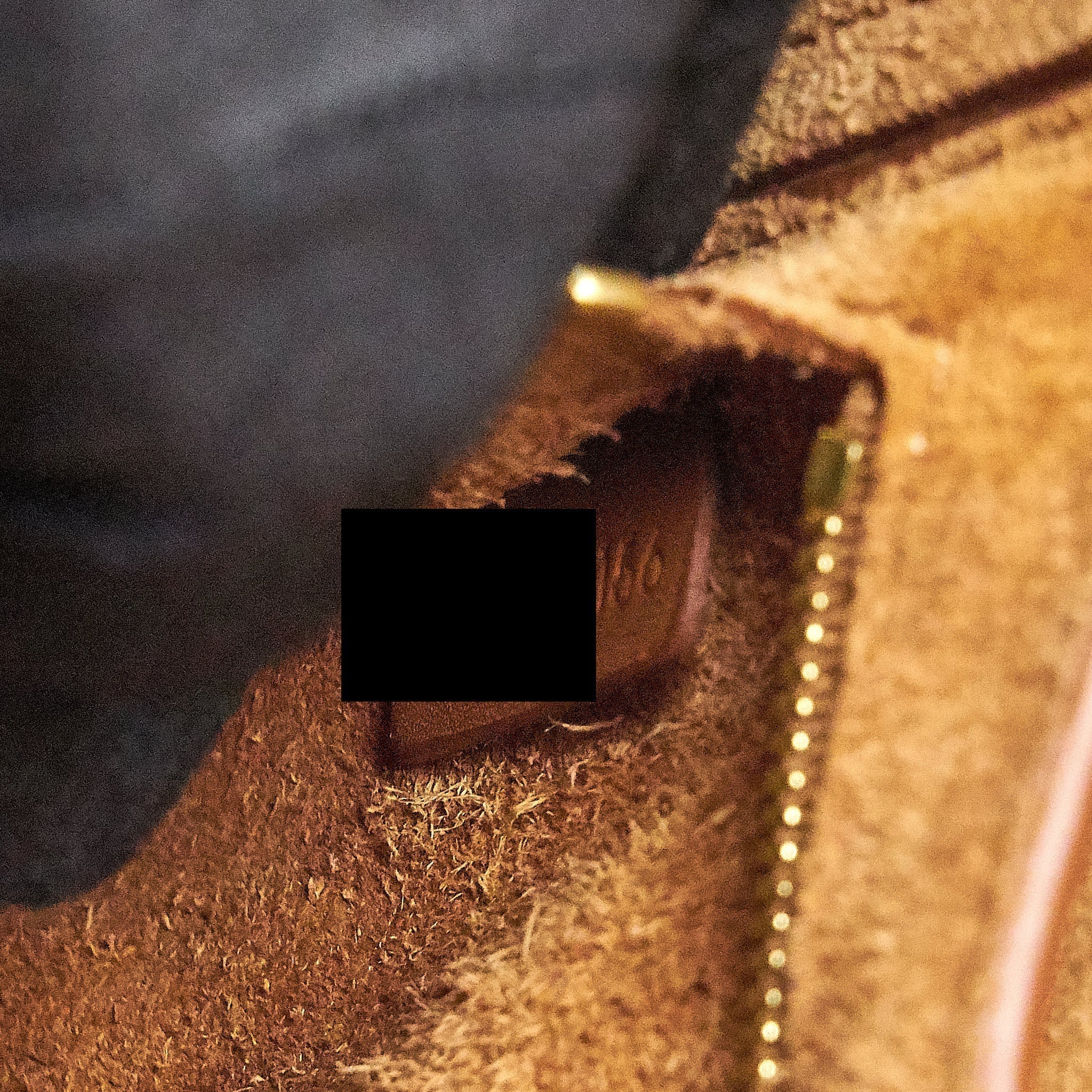 celine-sangle-bucket-bag-brown-ghw