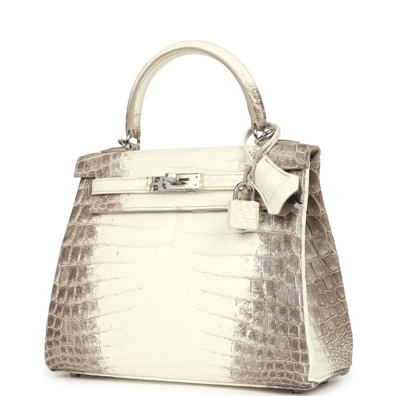 Kelly Retourne 25 Himalaya Niloticus Crocodile Palladium Hardware Bag