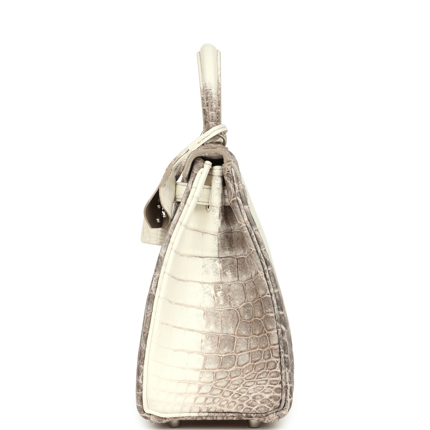 Kelly Retourne 25 Himalaya Niloticus Crocodile Palladium Hardware Bag