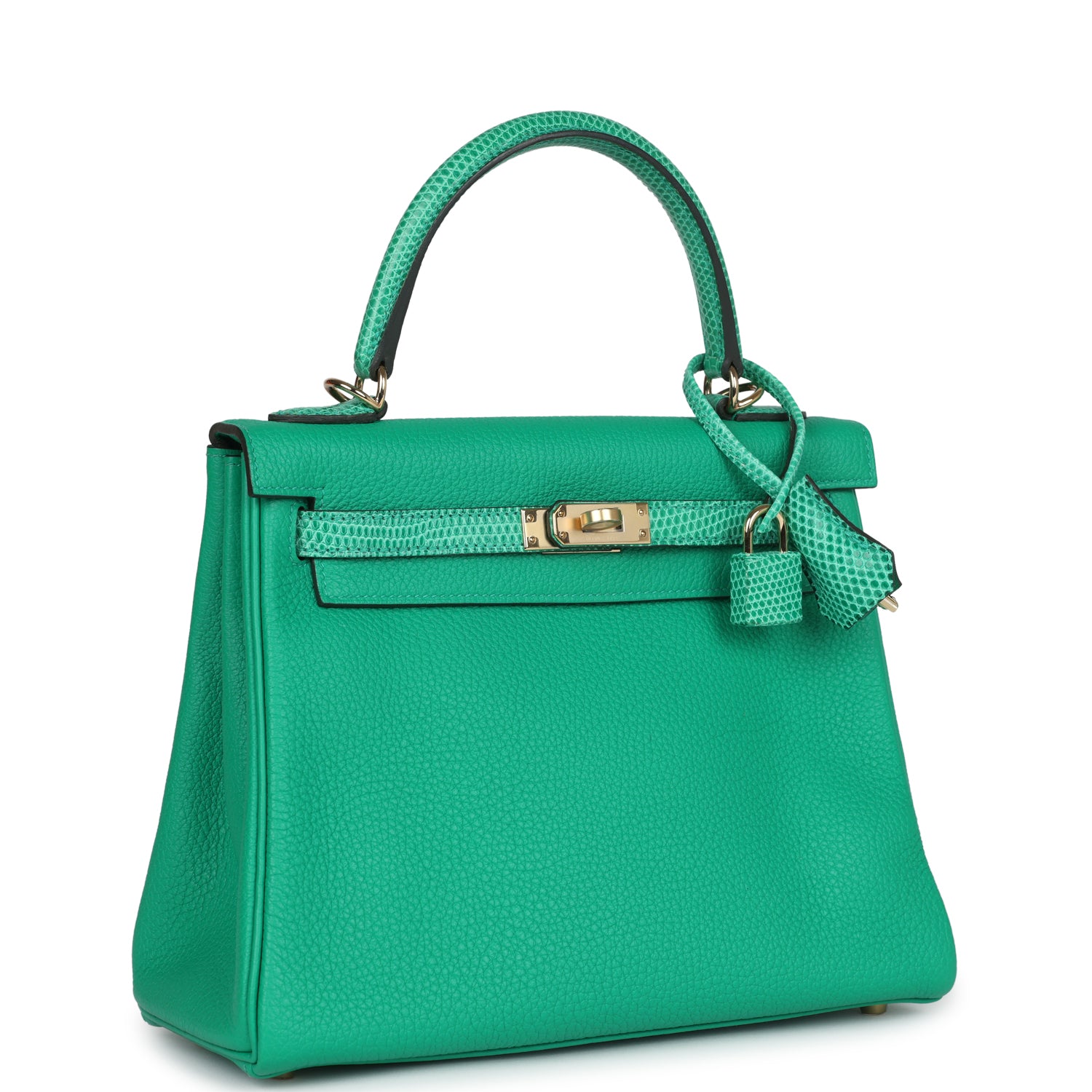 Kelly Retourne 25 Menthe Togo and Varanus Niloticus Lizard Touch Permabrass Hardware Bag